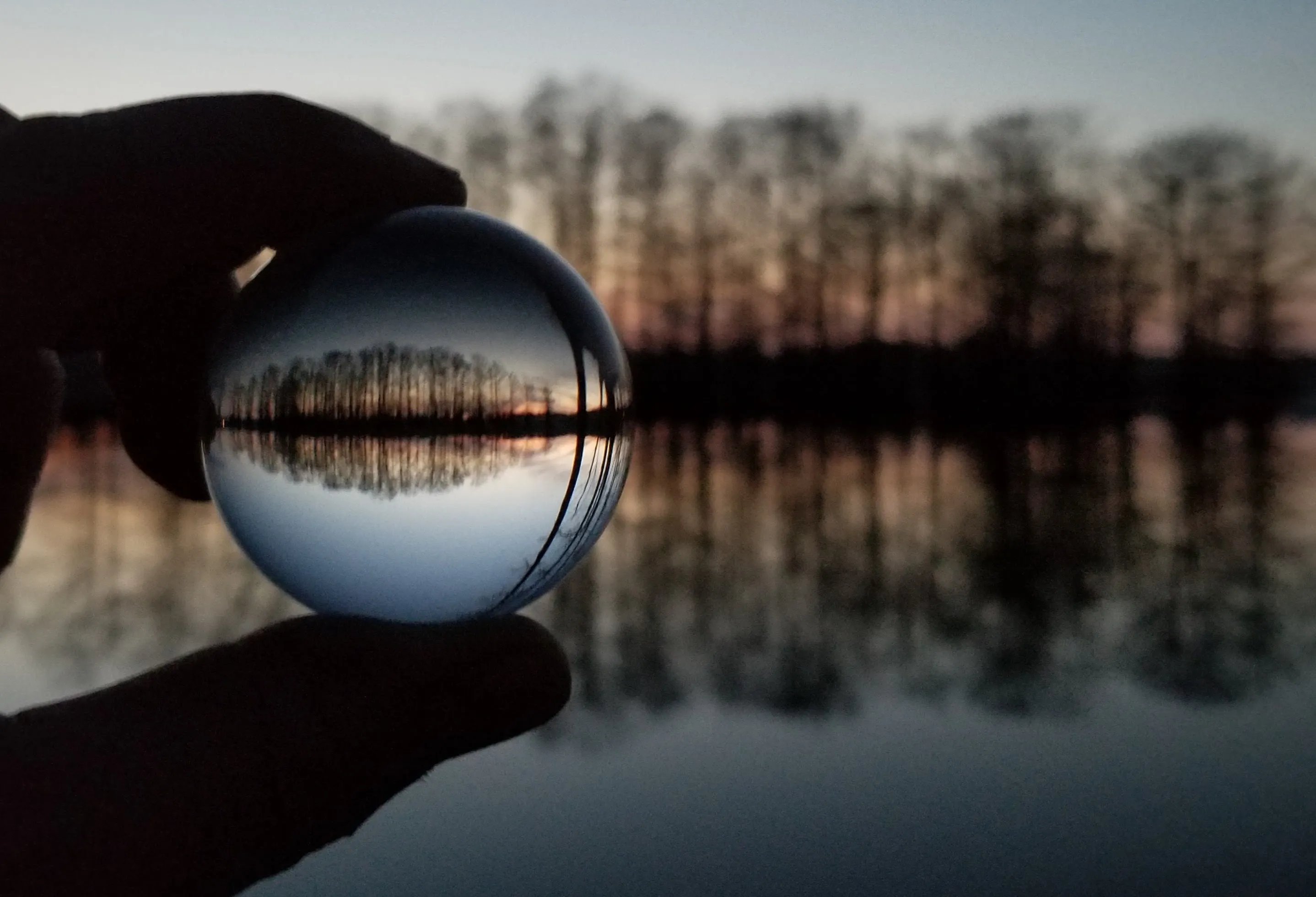 Trees Reflecting in Water or Glass