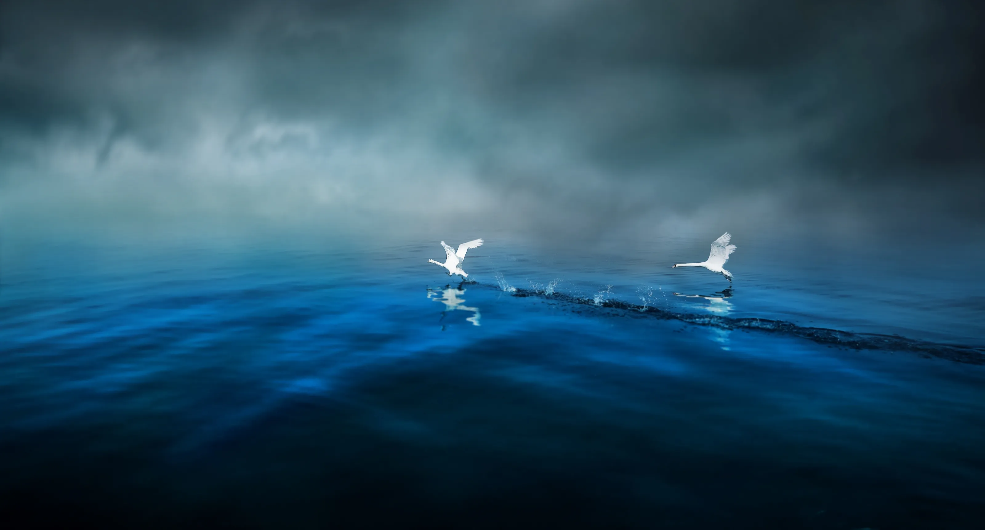 Natural world