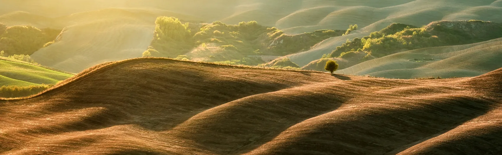 Light and shadow