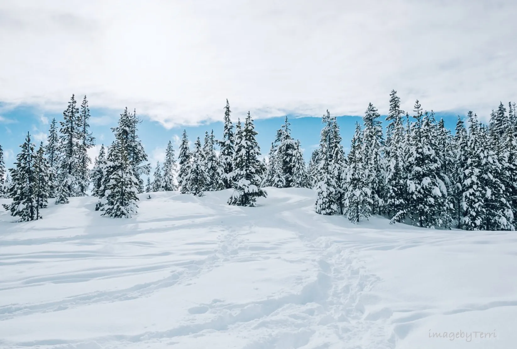 Snowy Landscapes in Colour (no people or animals)