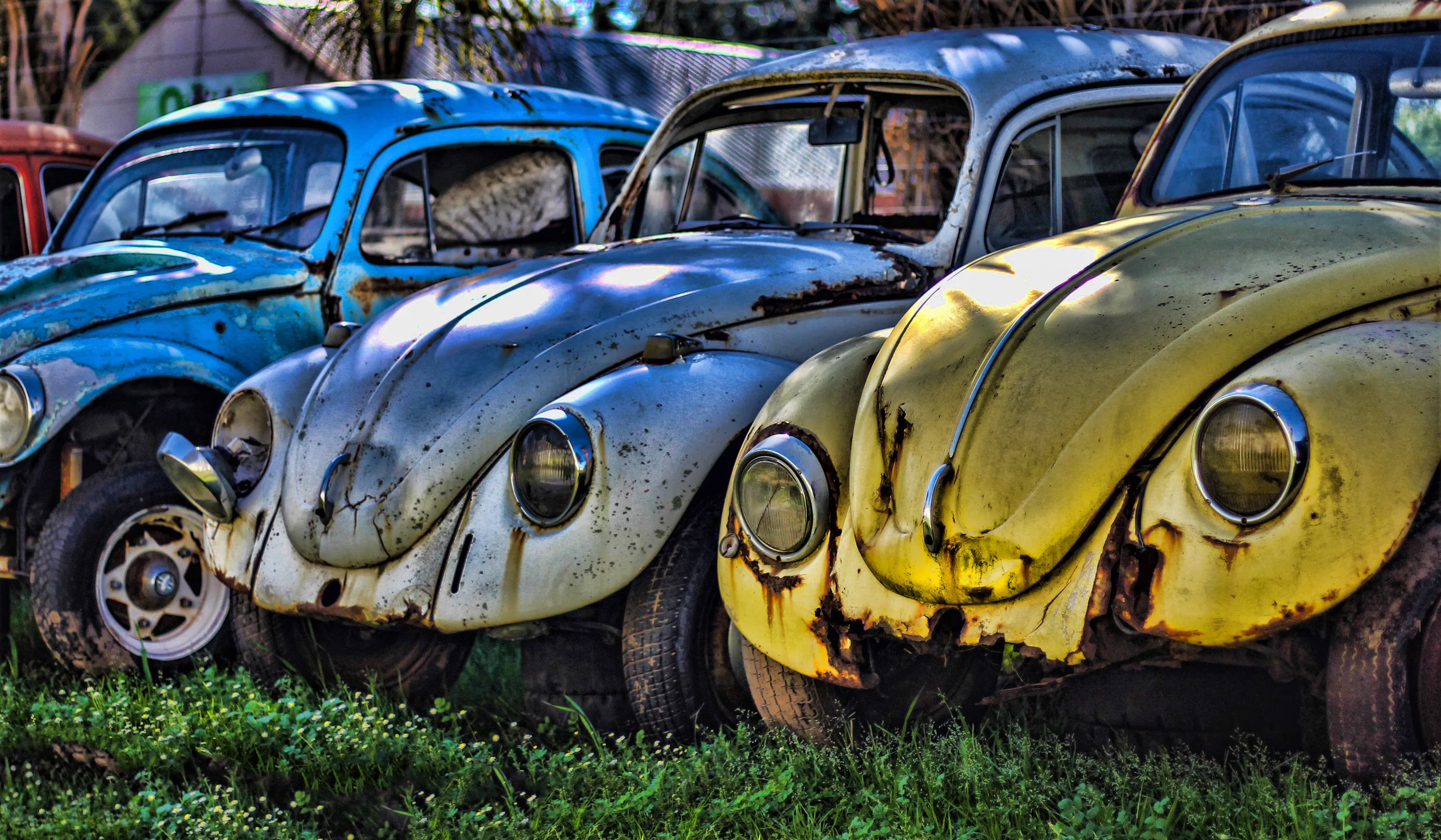 Abandoned and Neglected