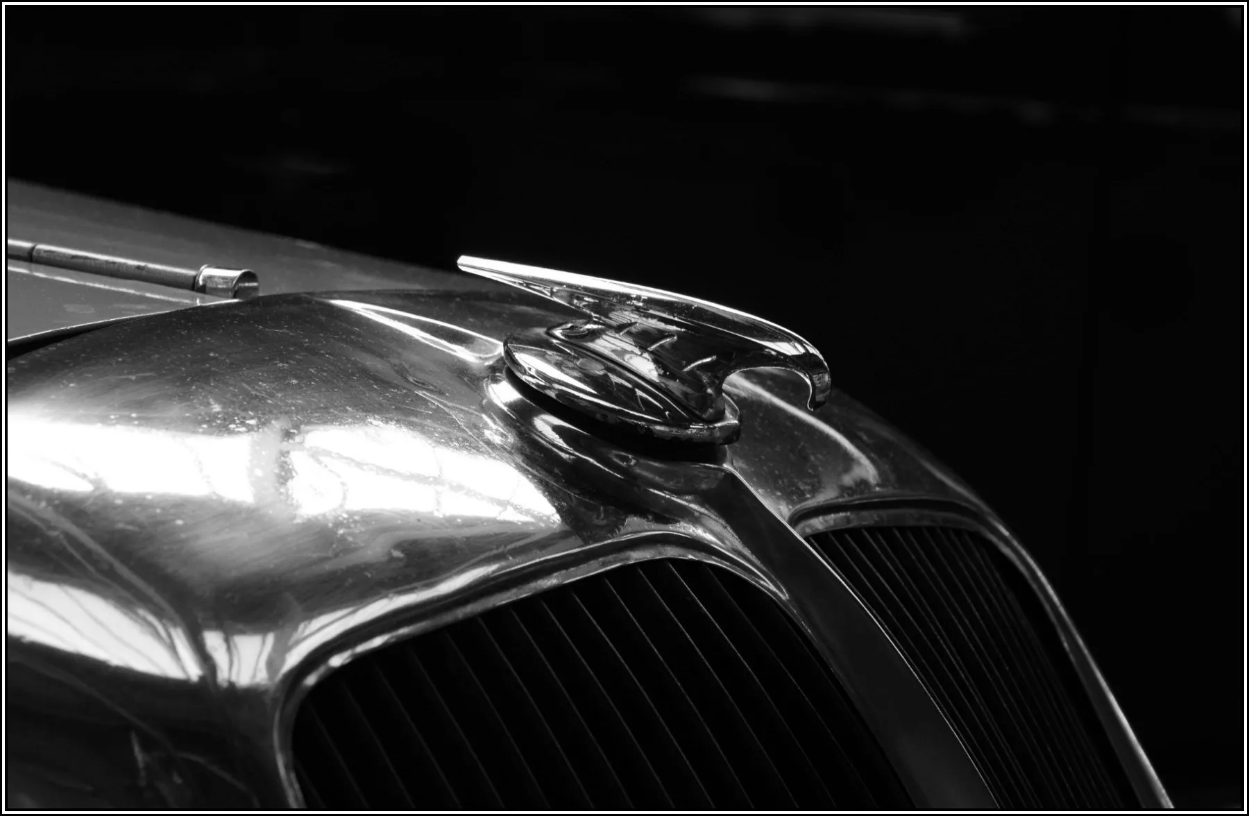 Car Mascots in Black and White