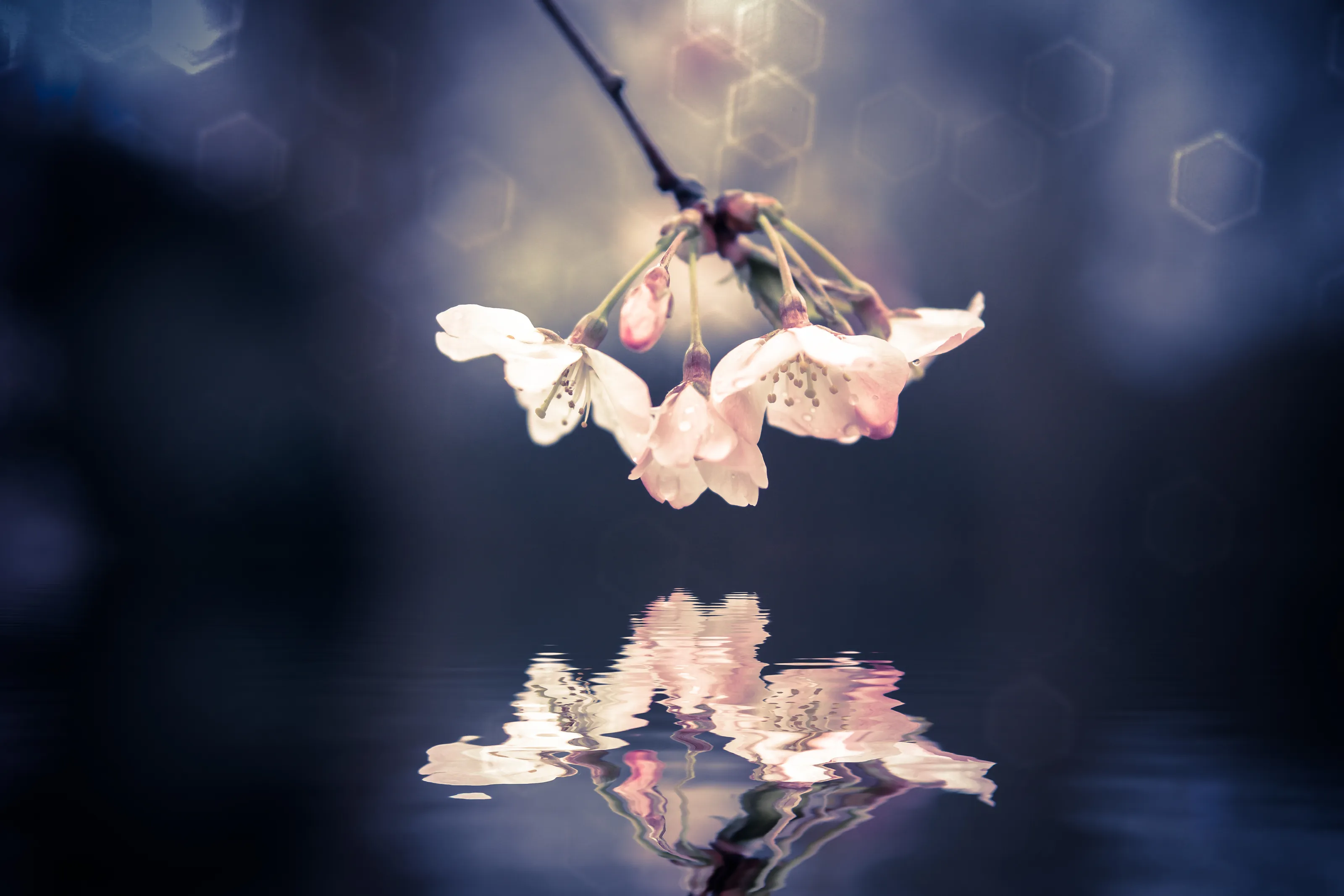Springtime