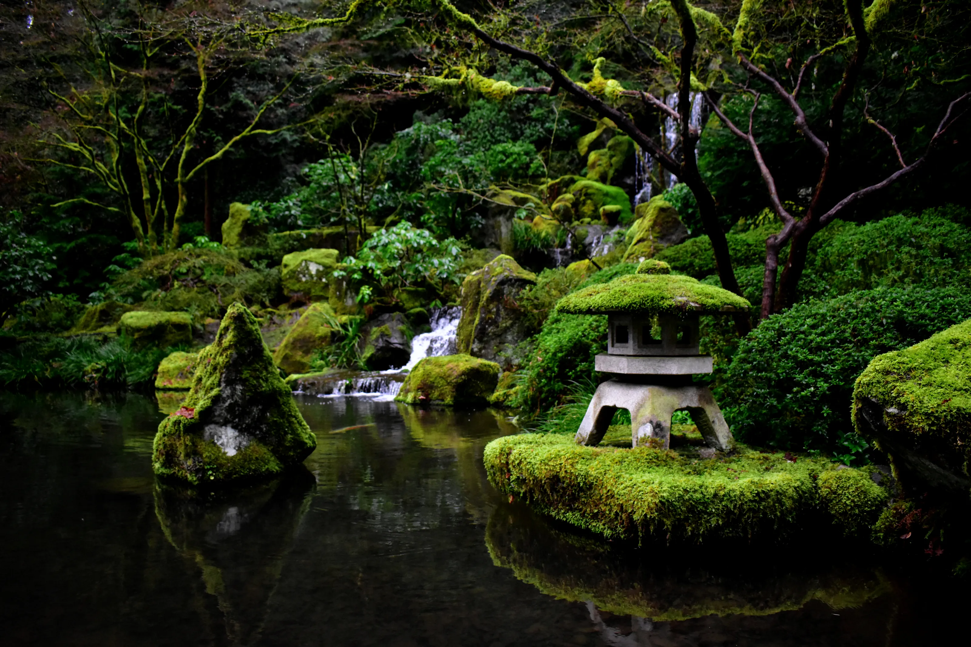 Man Made Green Gardens (in colour)