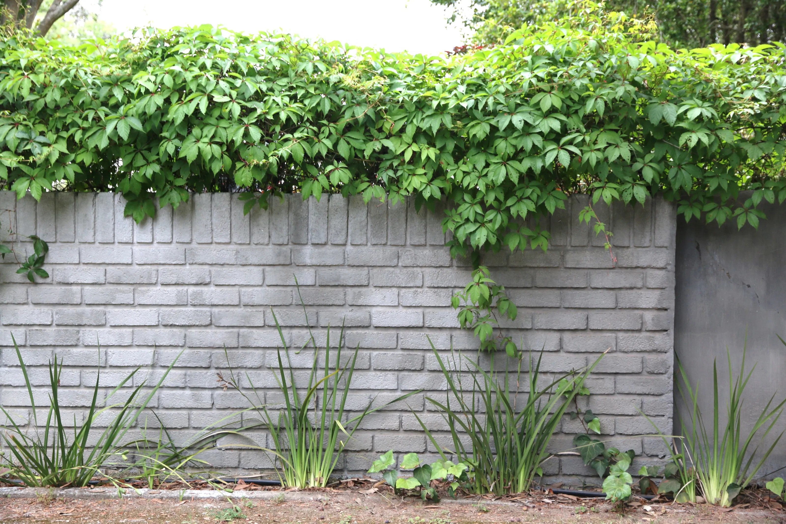 Urban Fences in Colour