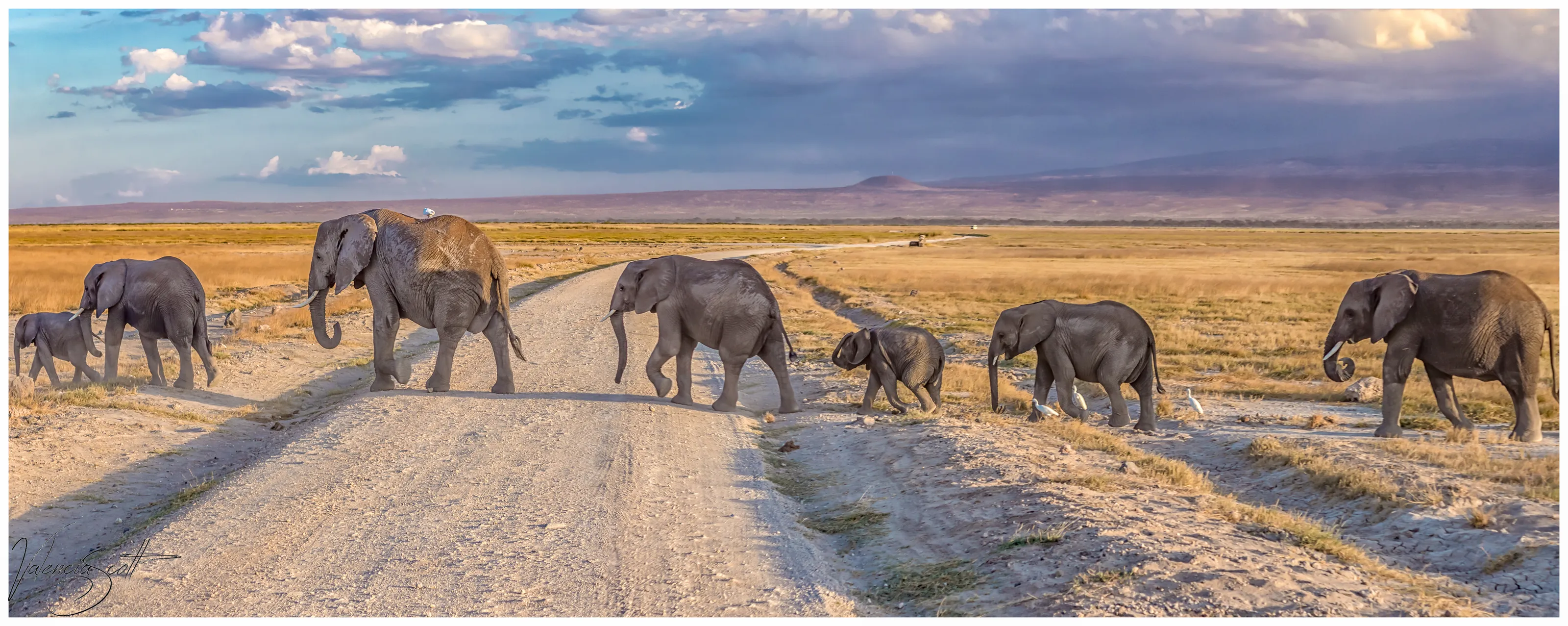 Landscapes of Africa (No People)