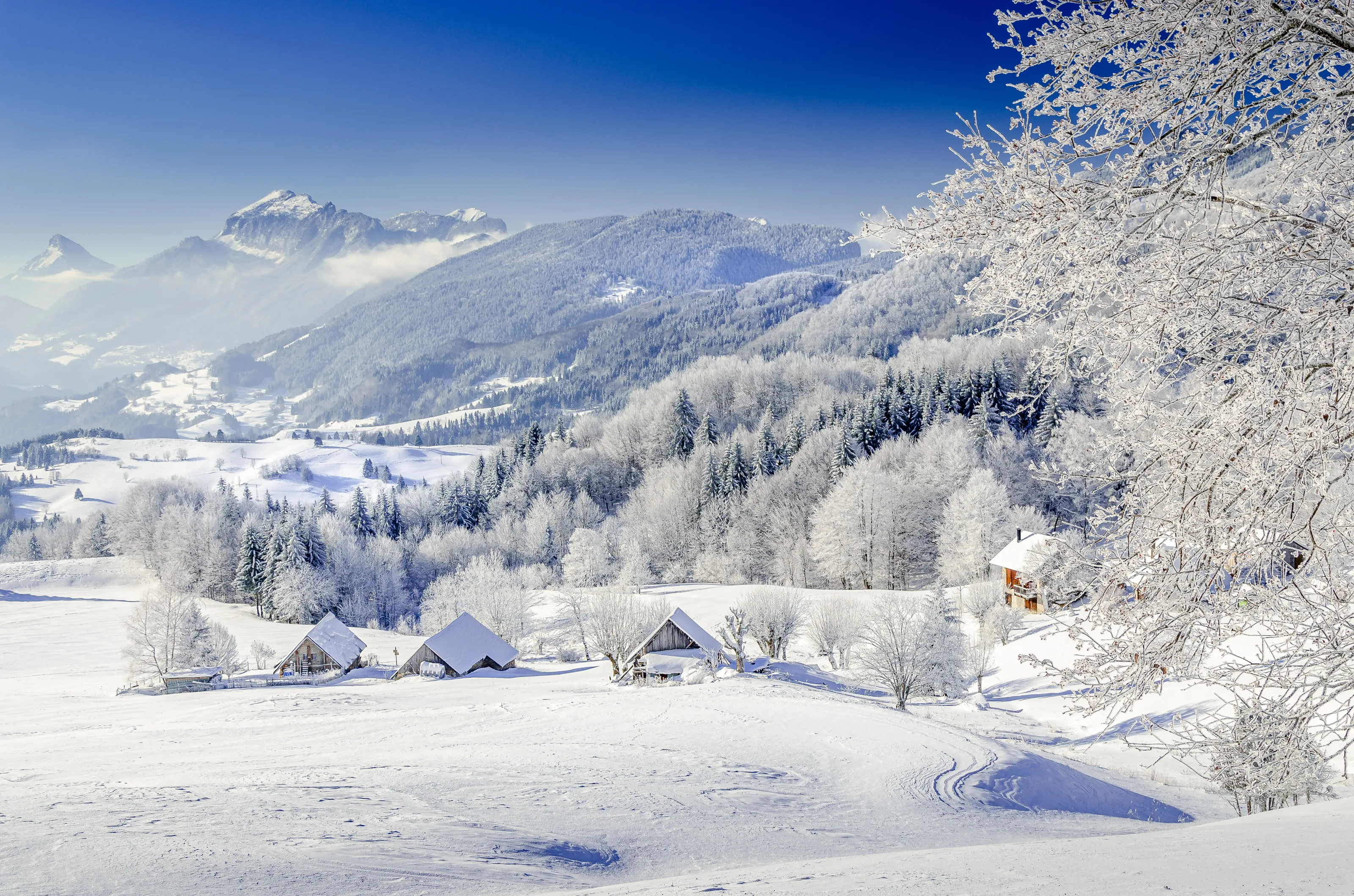 Panoramic Snowscapes in Colour