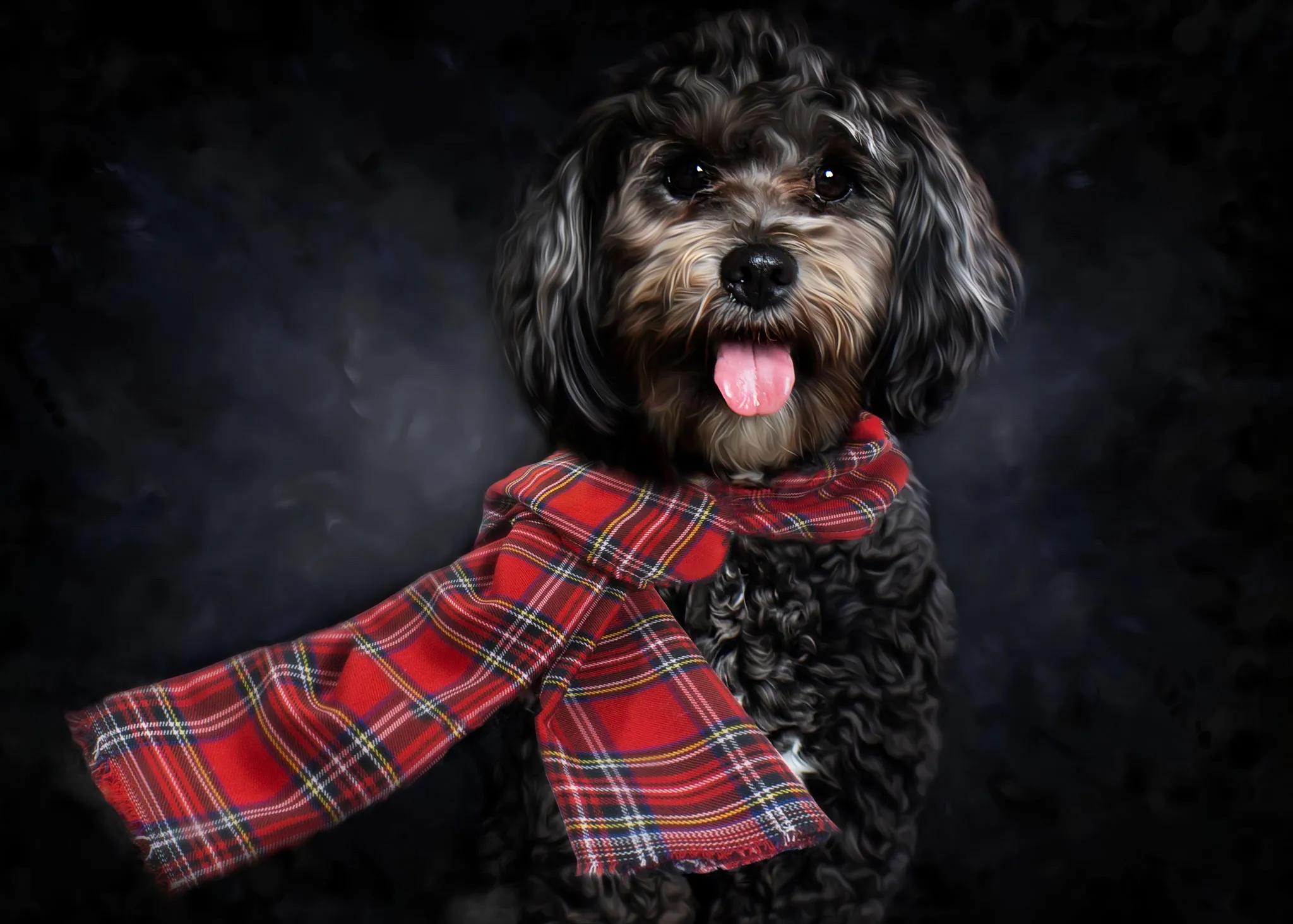 Pets Dressed Up