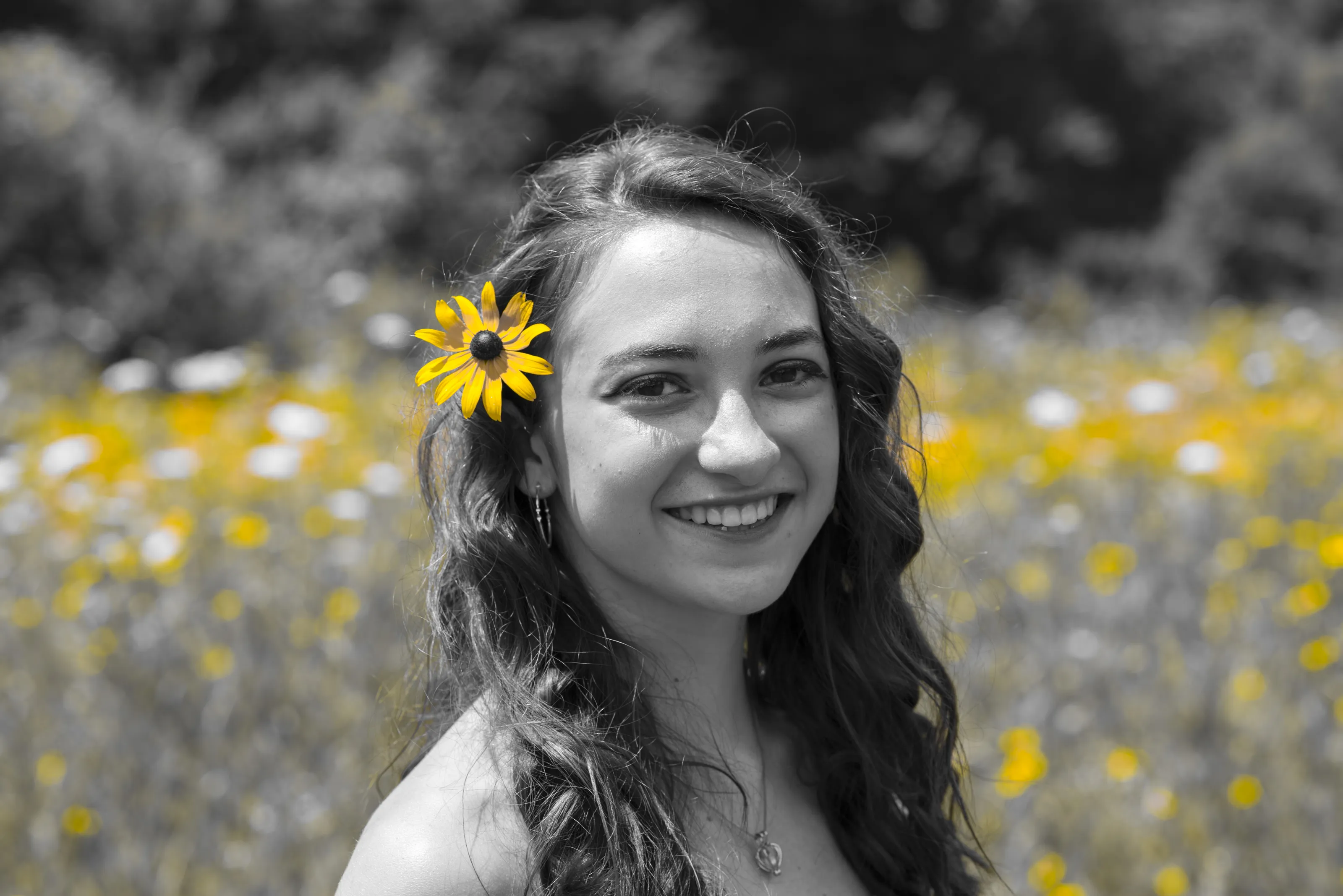 Selective Colour