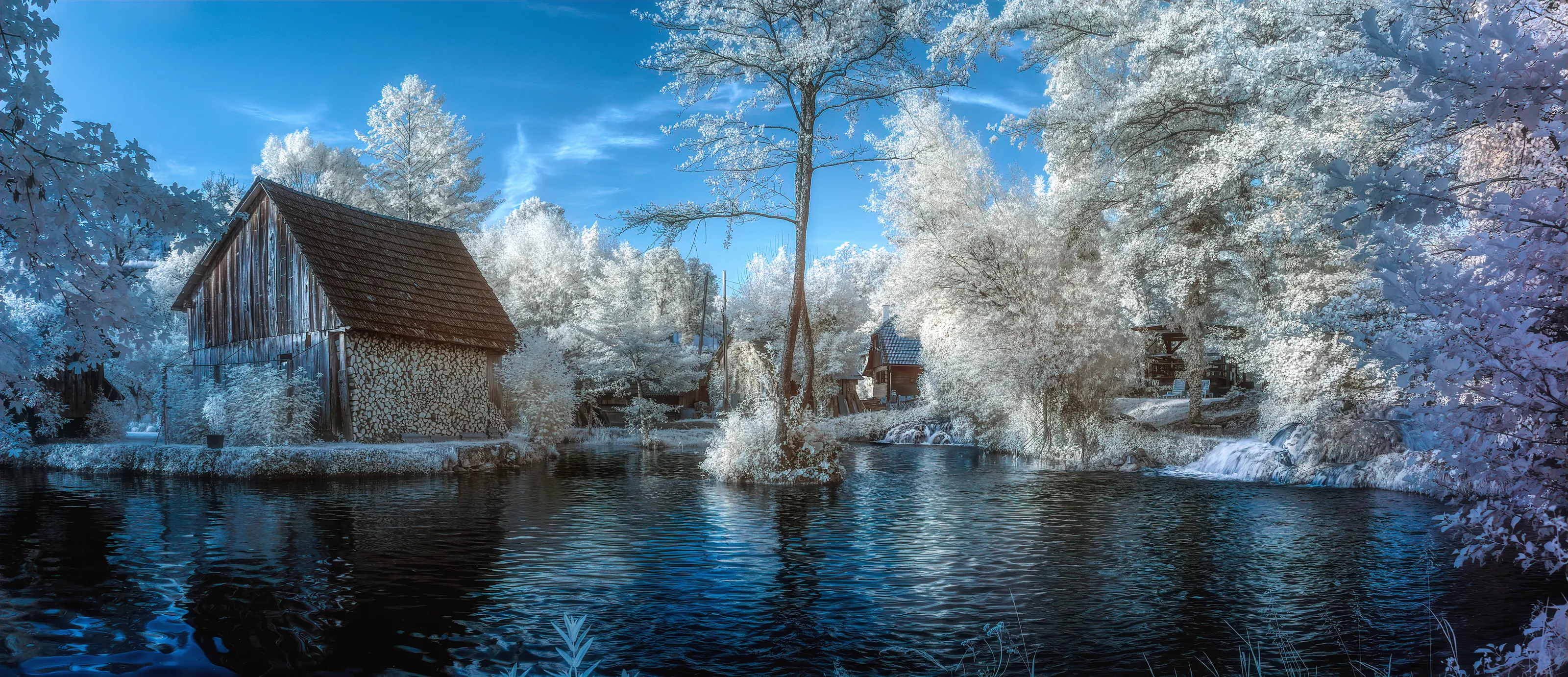 Infrared Photography (in colour)
