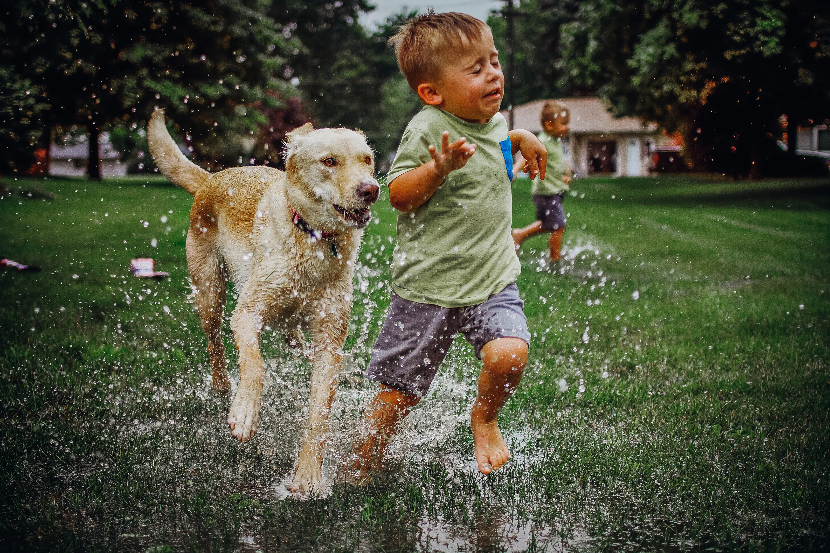 Children With a Cat or a Dog