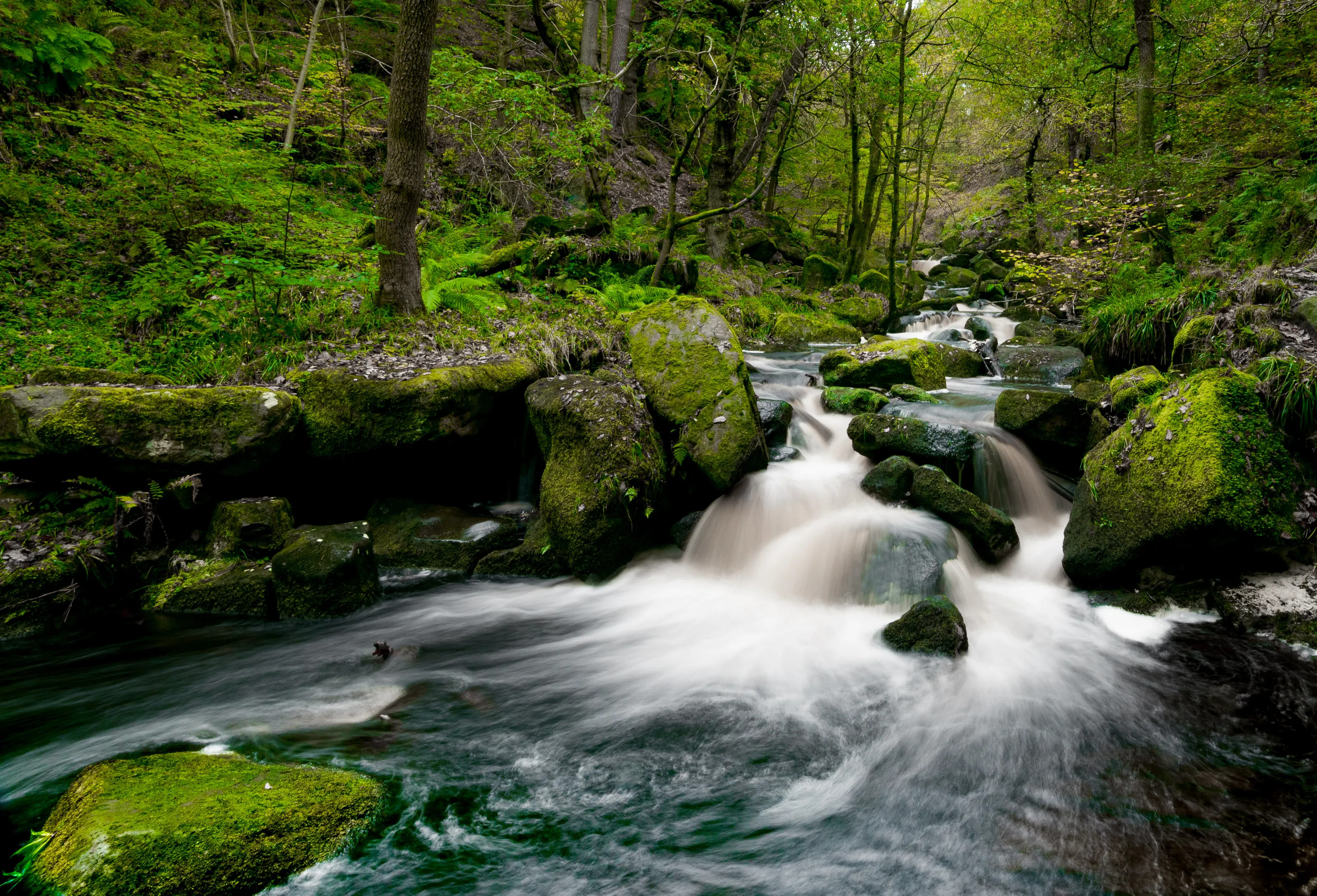 Streams and Rivers