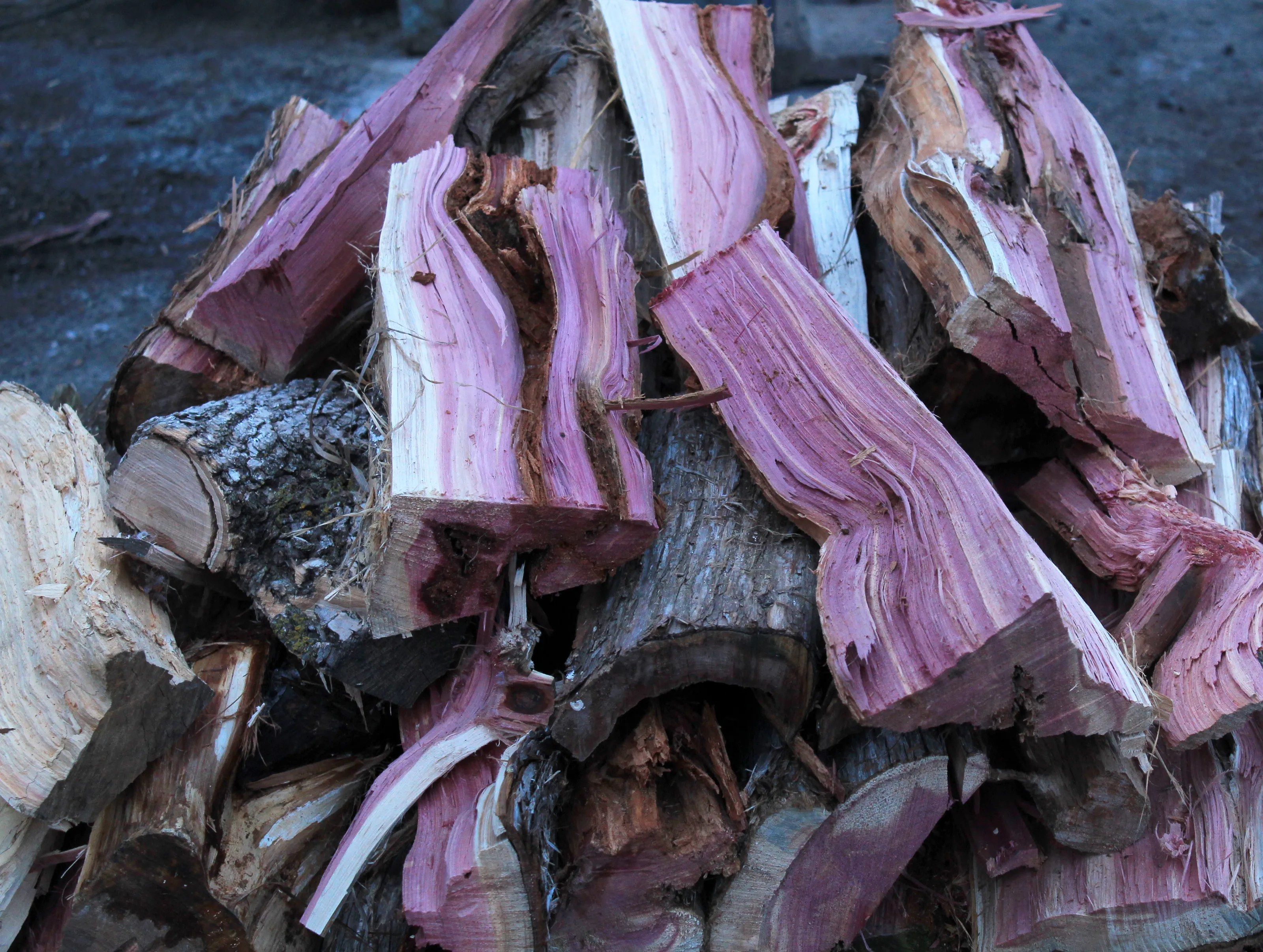 Split Wood in Colour