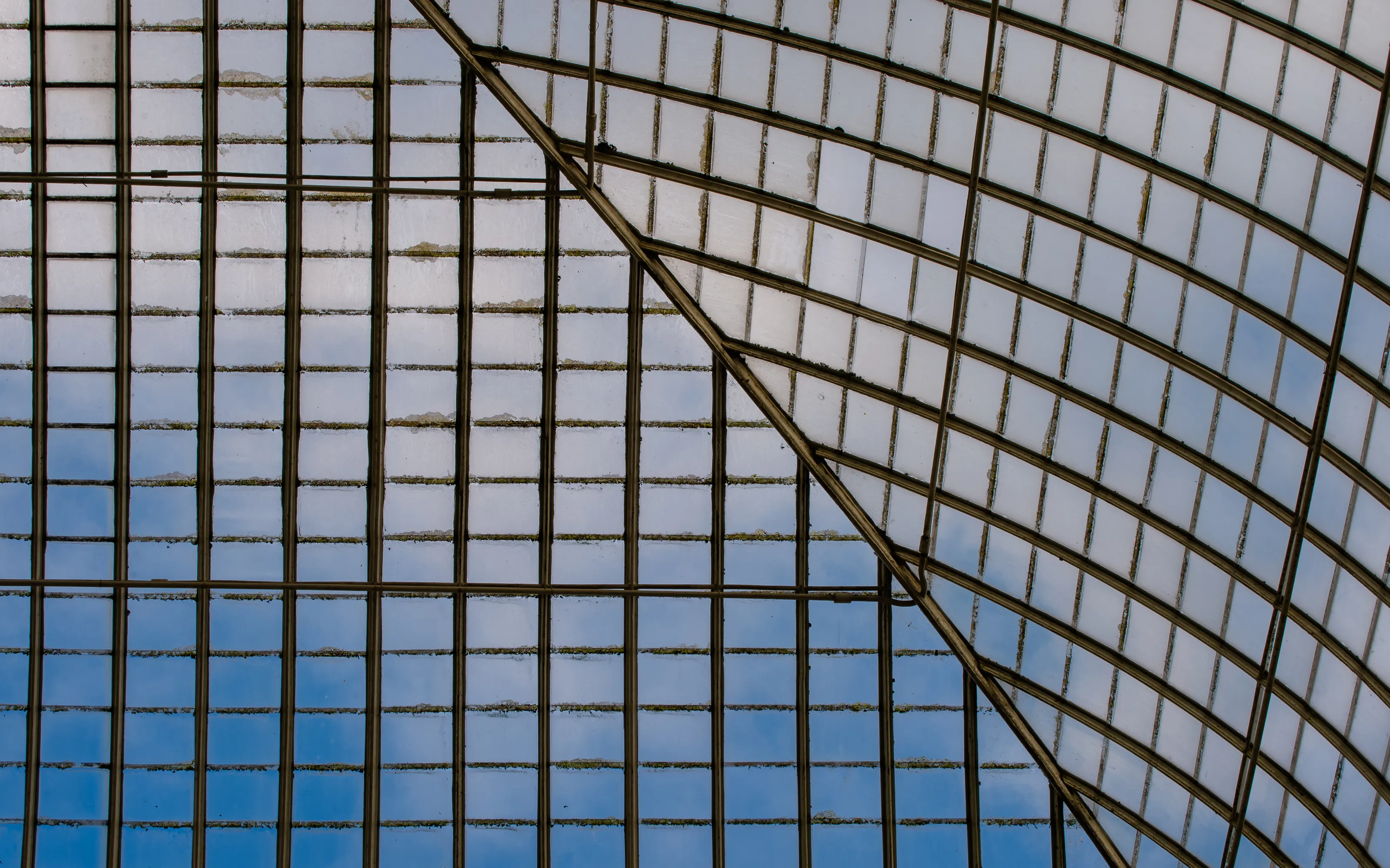 Inside Greenhouses, Glasshouses and Conservatories