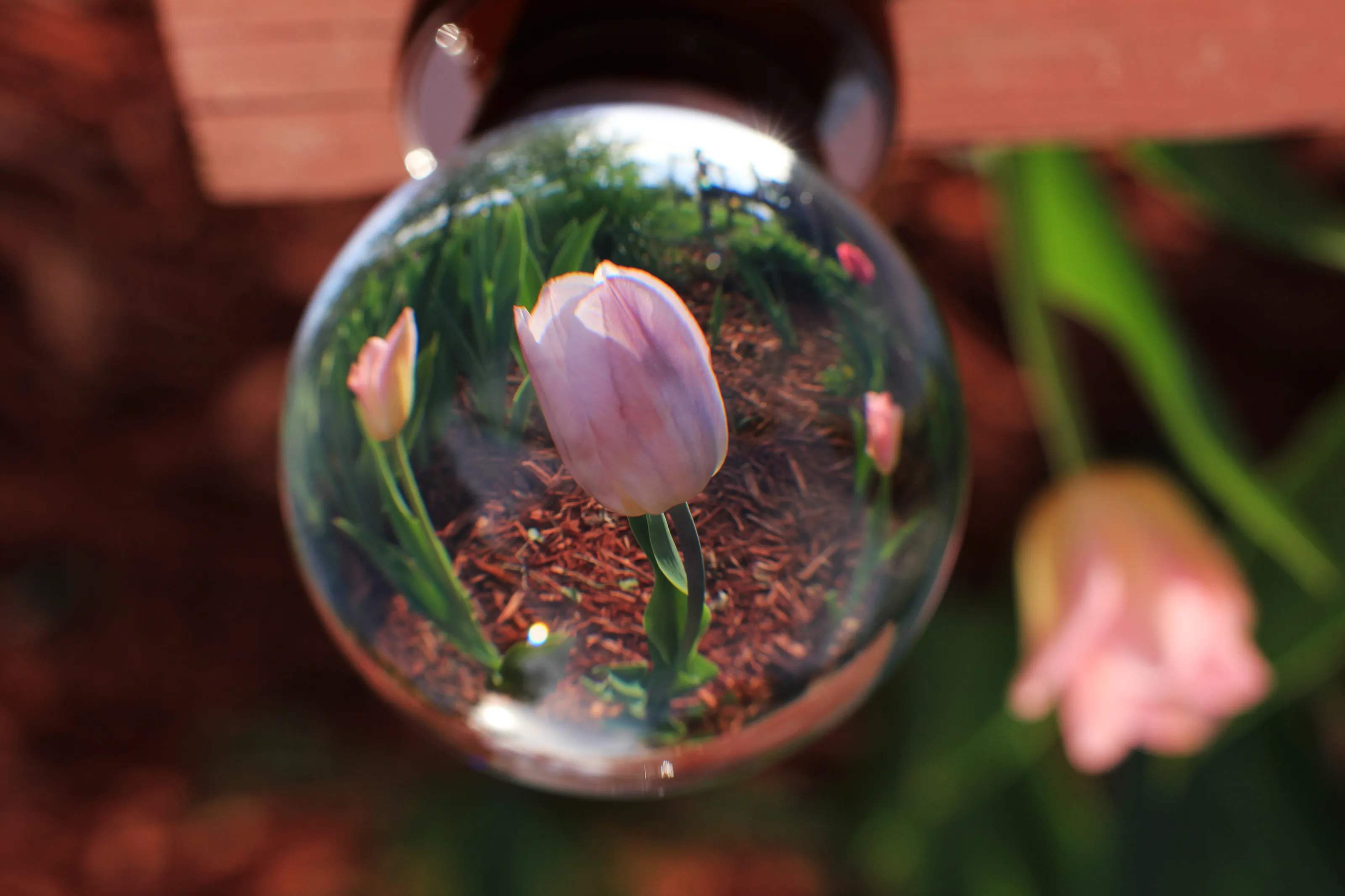 Creative Crystal Ball Photography (Colour Only)