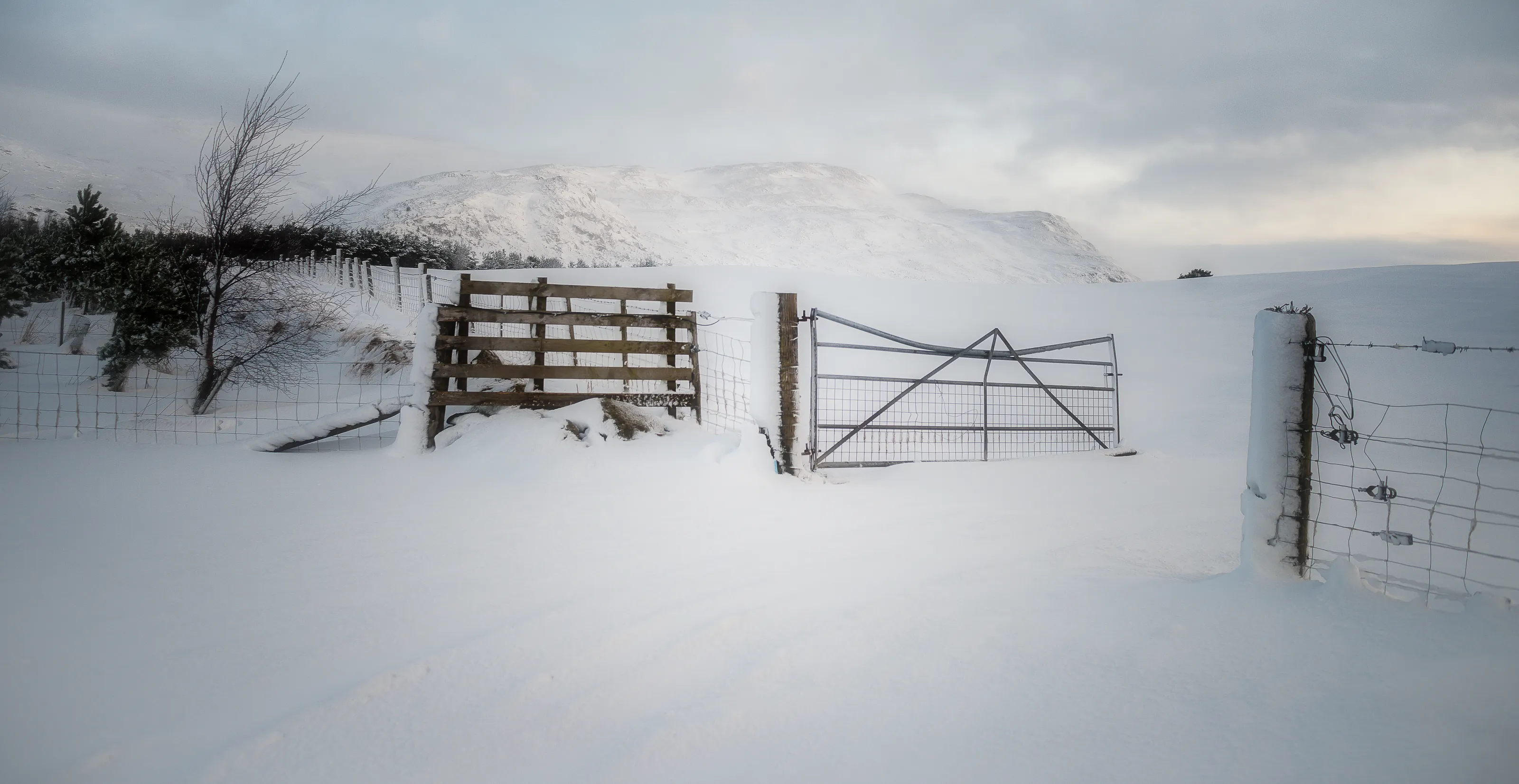The Humble Gate
