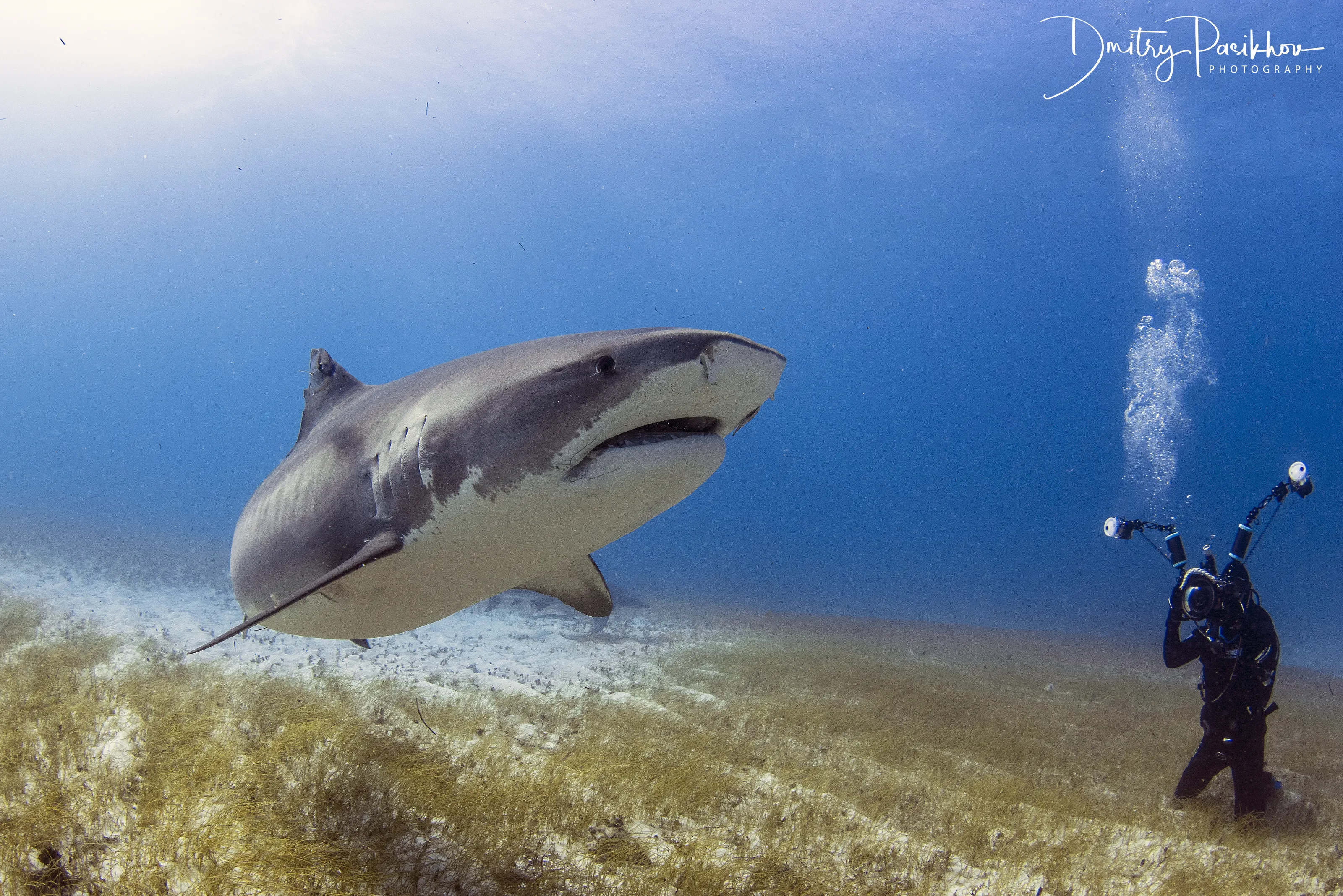 Underwater World