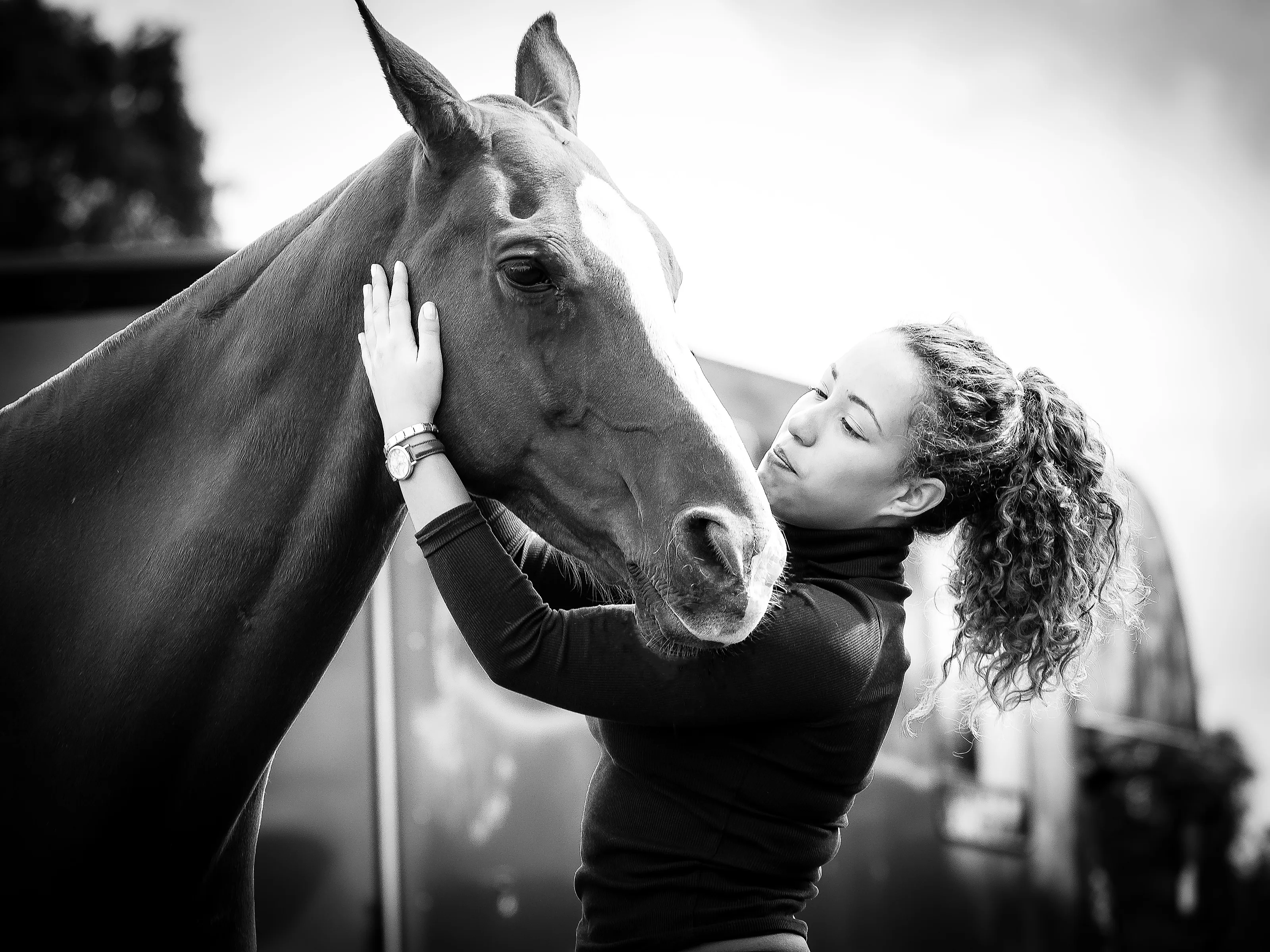 Caring for Horses