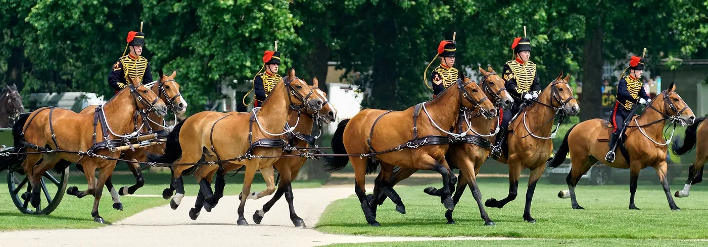 Horses with Riders in Uniform