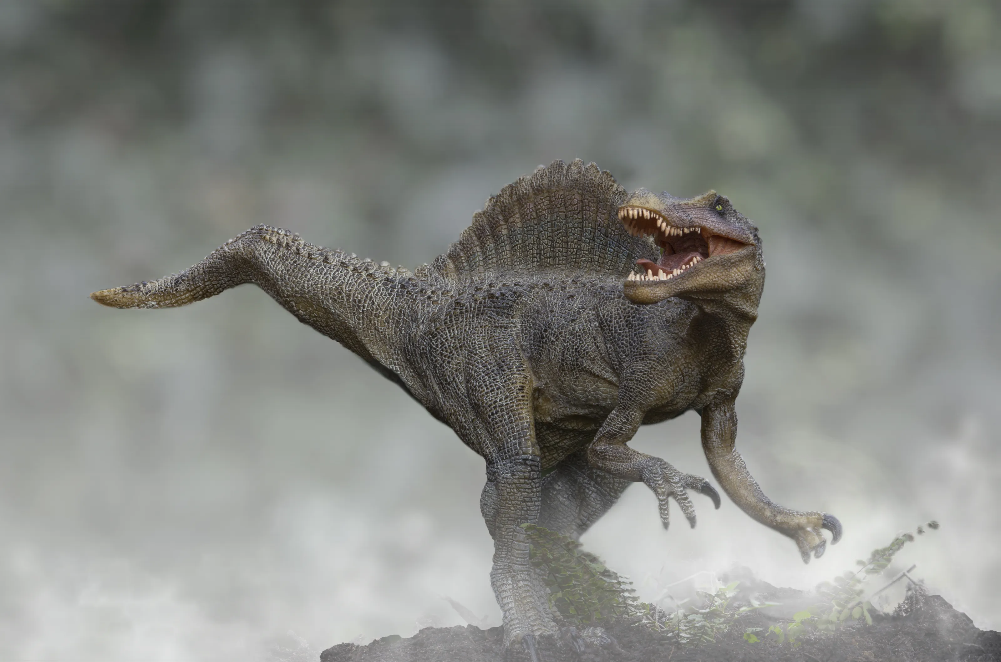 Creativity with Toy Dinosaurs