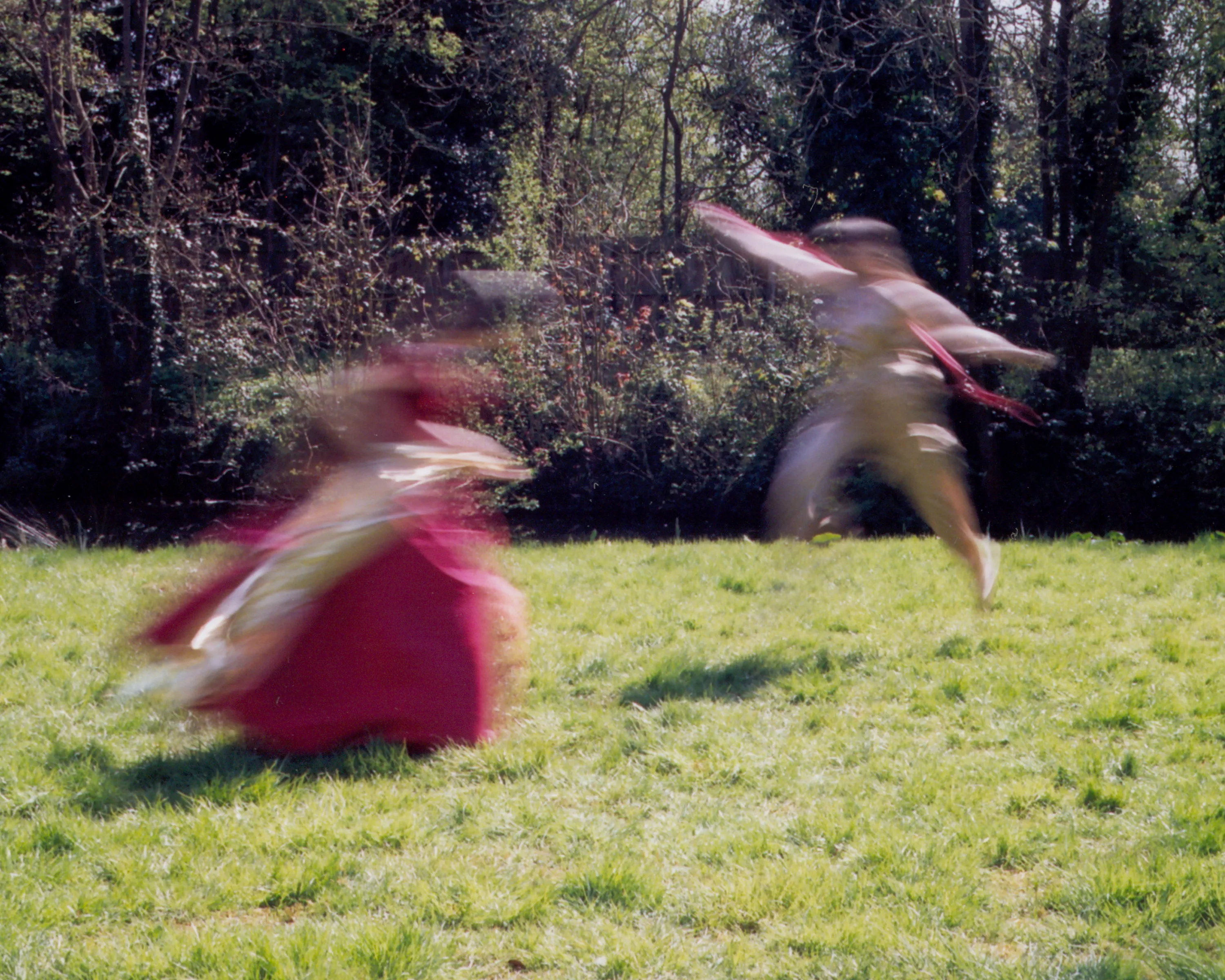 Motion Blur in the Home and Garden