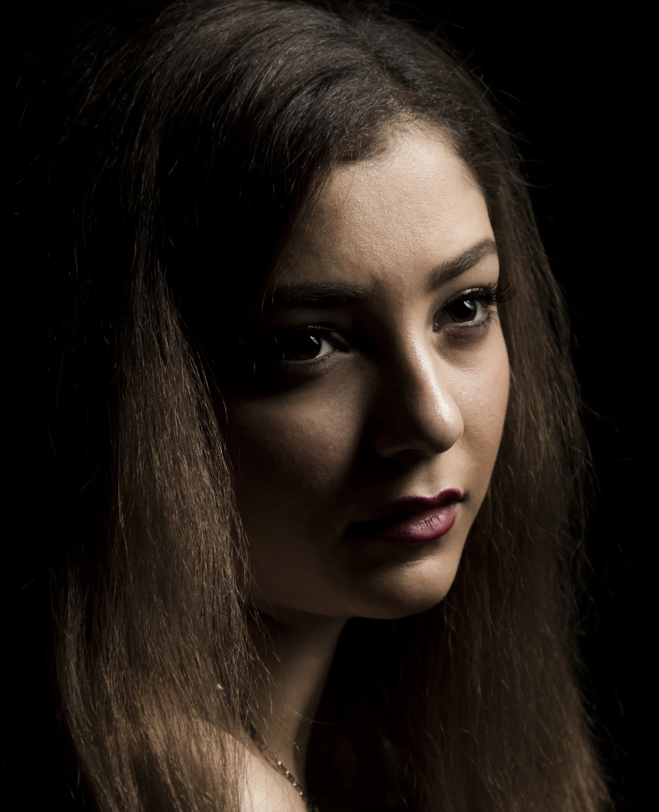 Human Portraits with Rembrandt Lighting