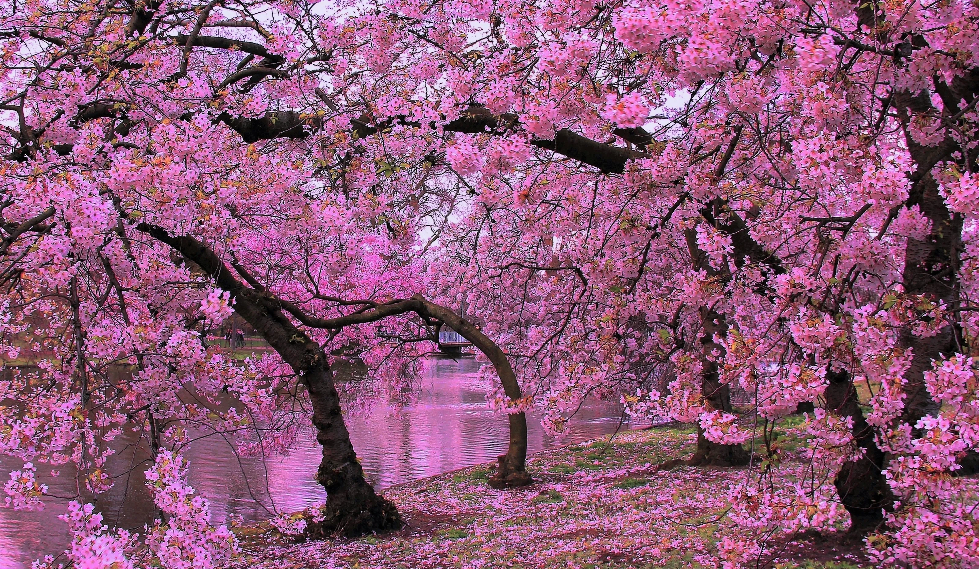 Springtime
