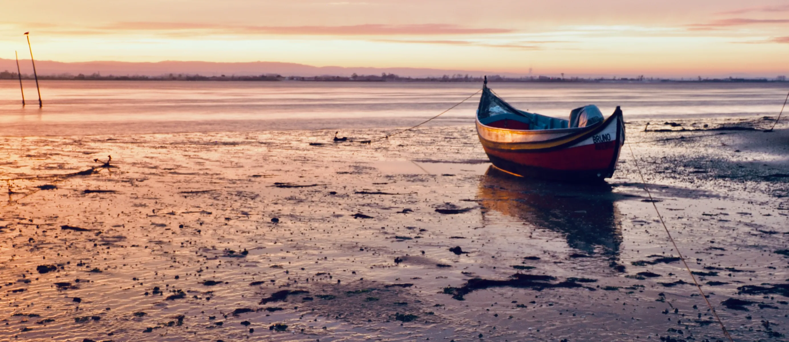 Boats on Land