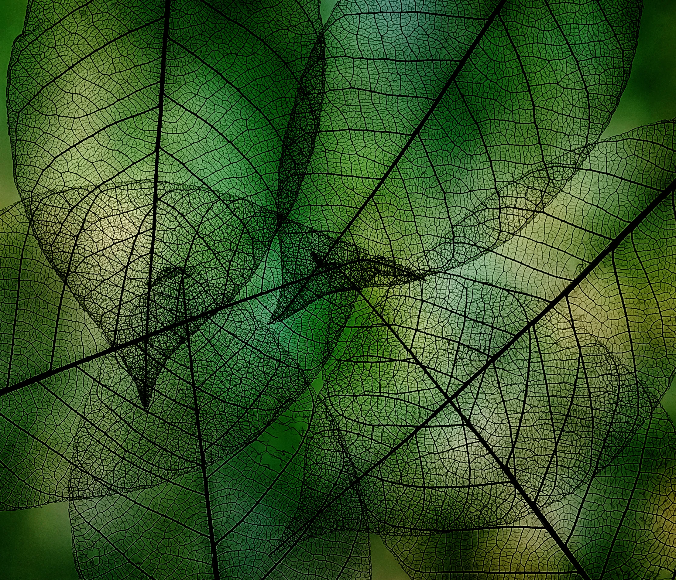 One colour