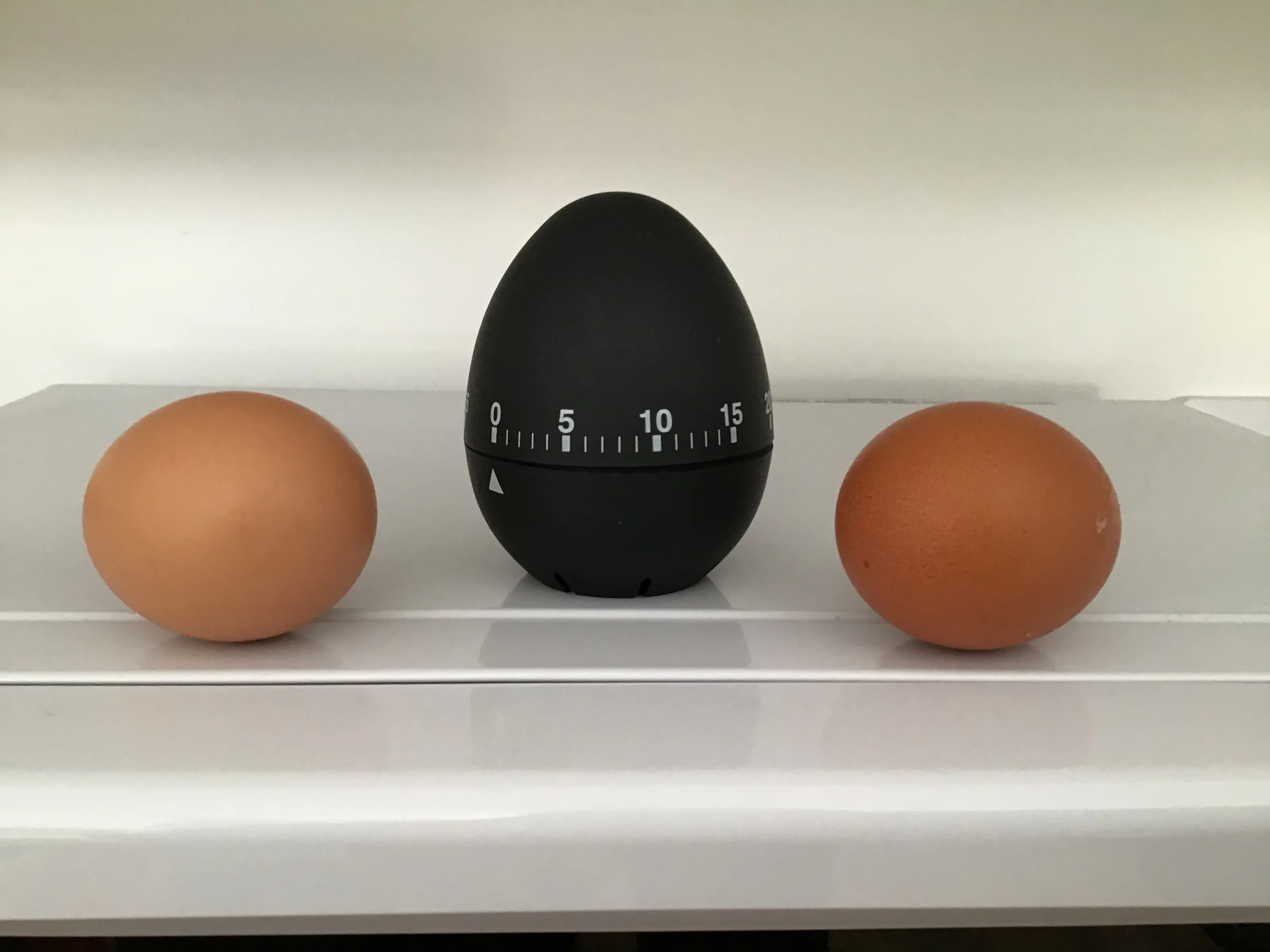 Still Life with Natural Eggs