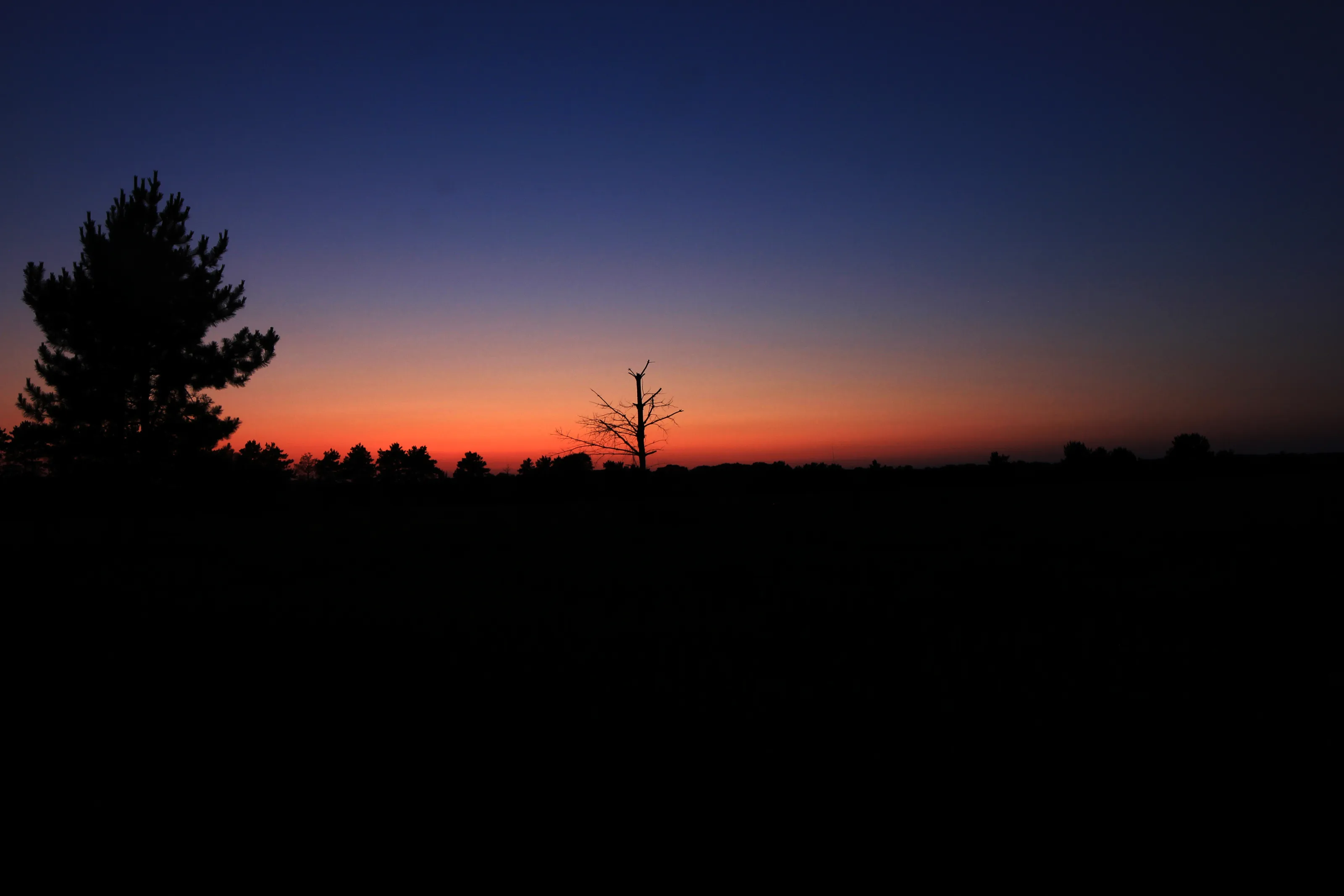The Night Sky in Colour