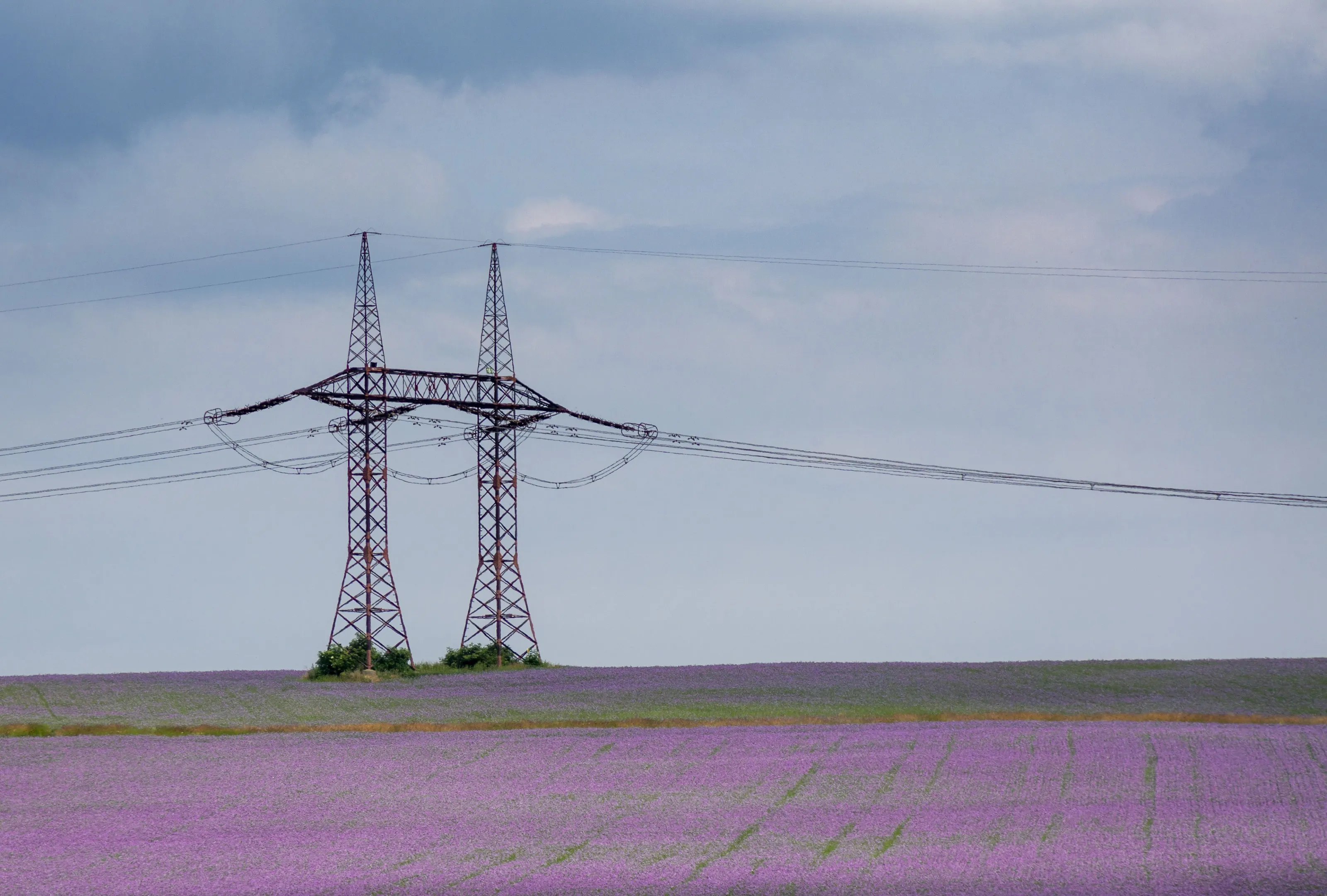 Power Lines