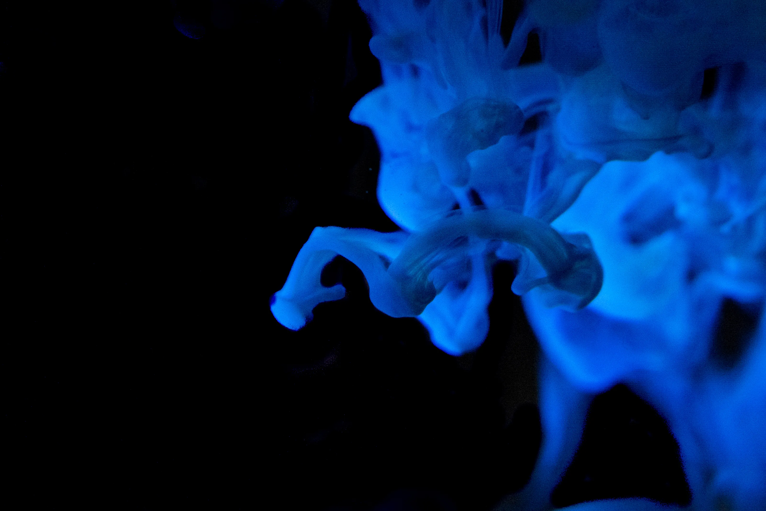 Mixed Liquids in Colour