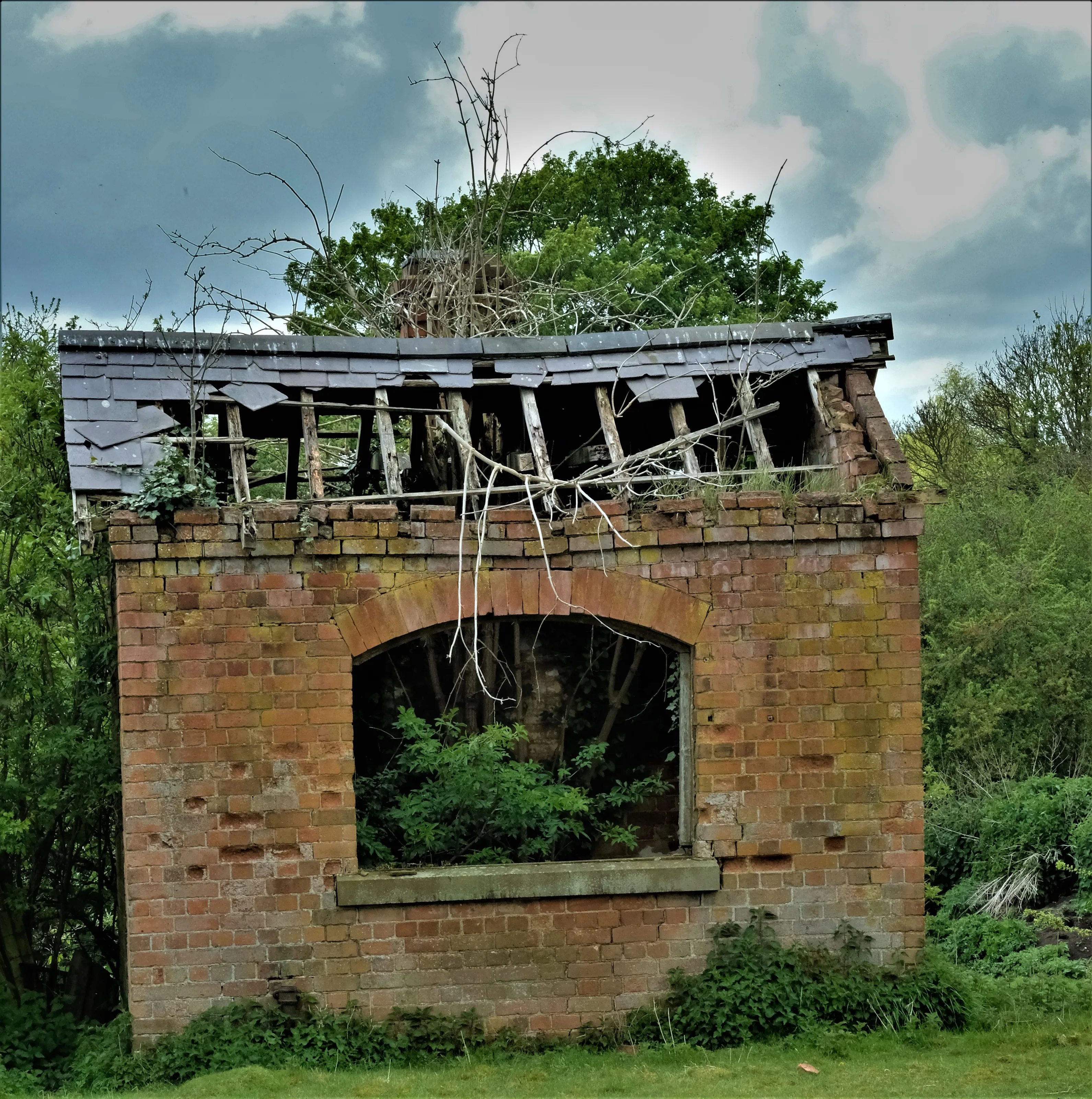 When Nature Takes Over