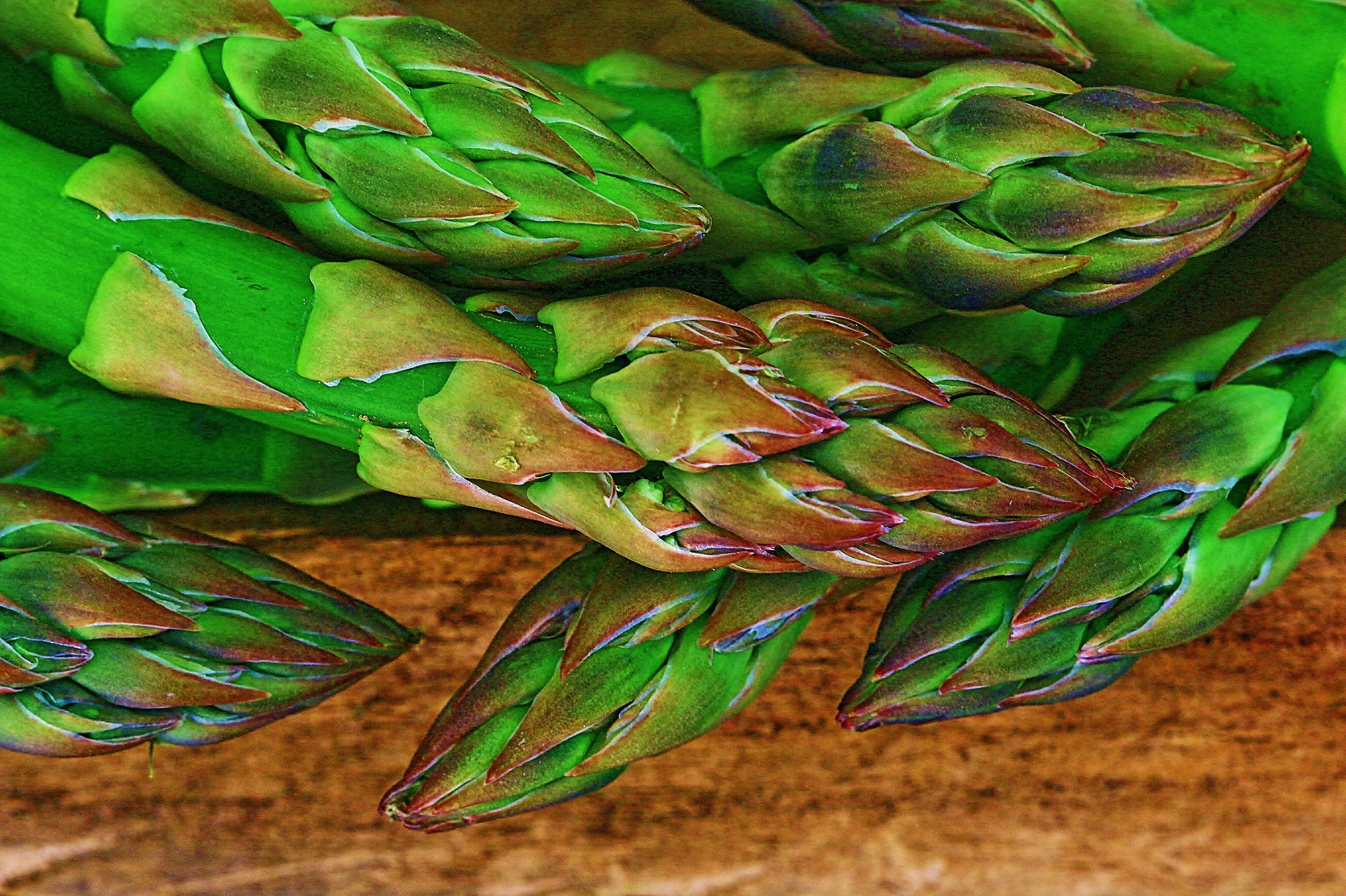 Asparagus