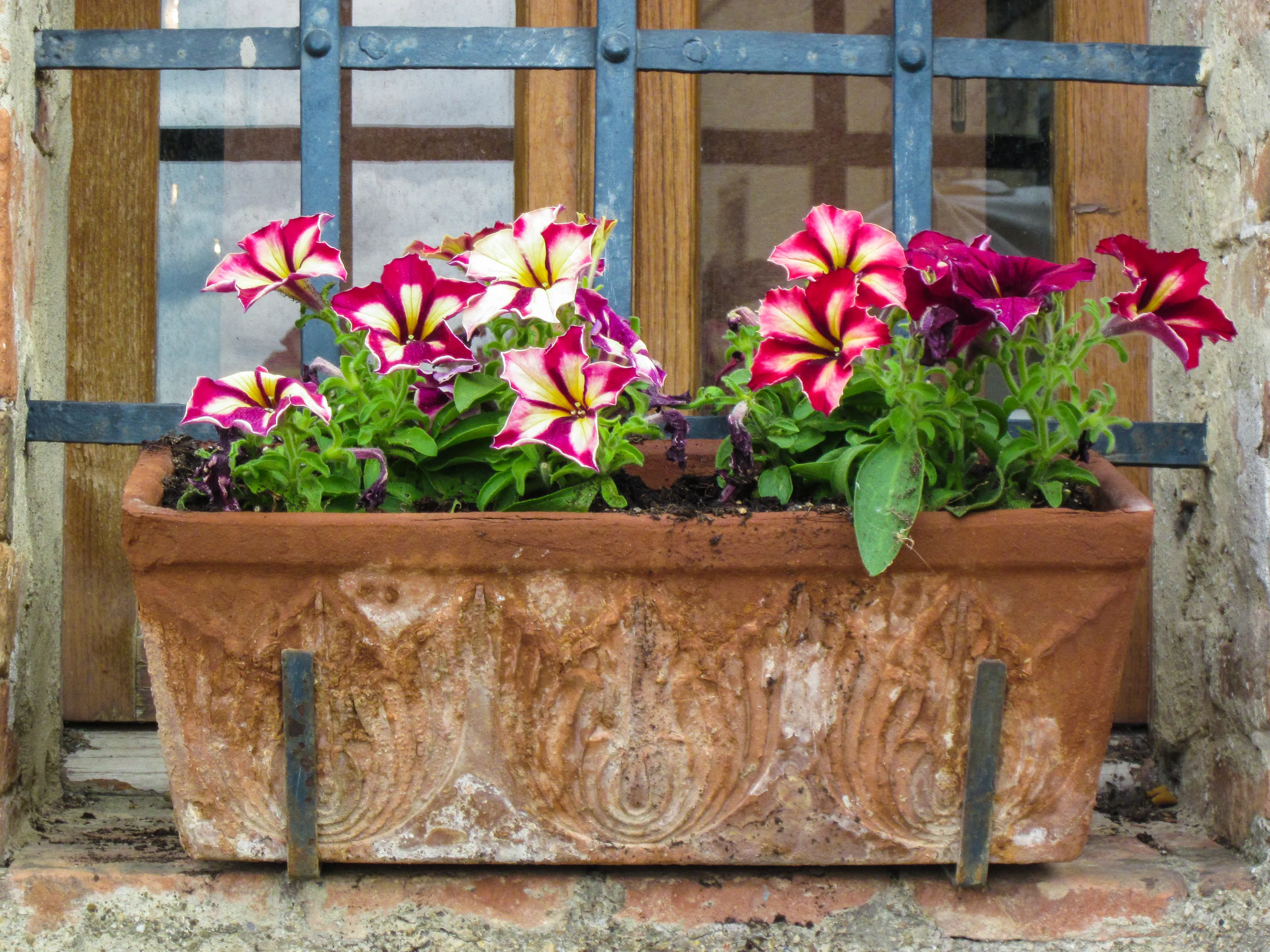 Window Boxes