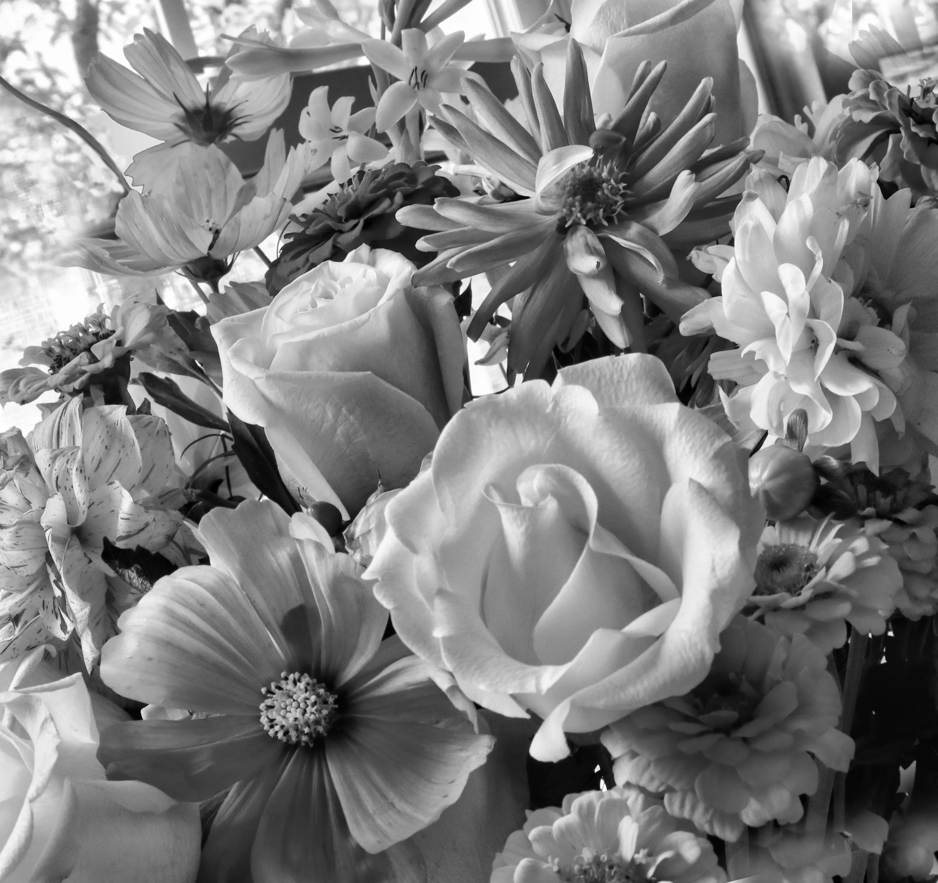 Flowers in Black and White