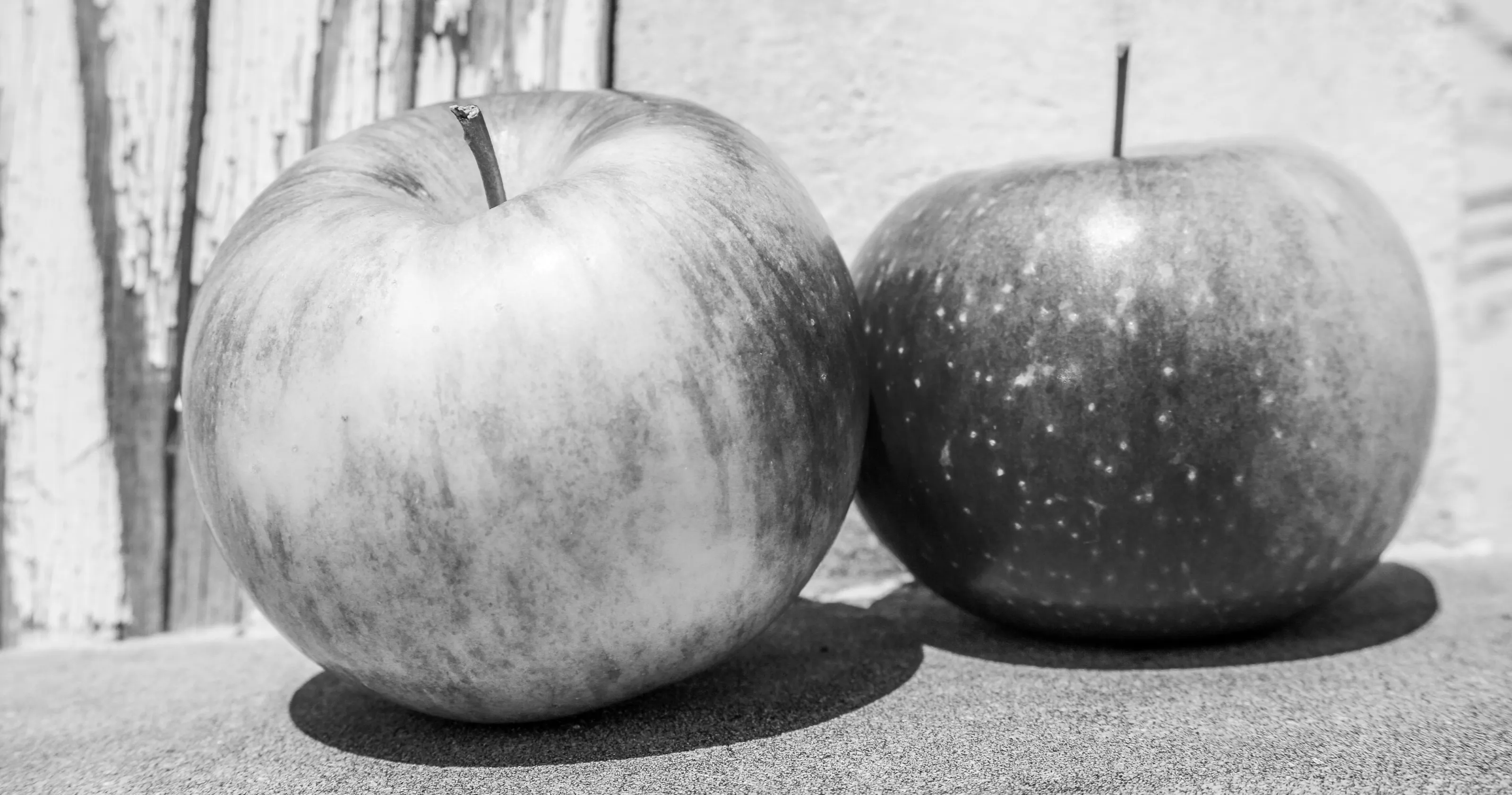 Two Apples in Black and White