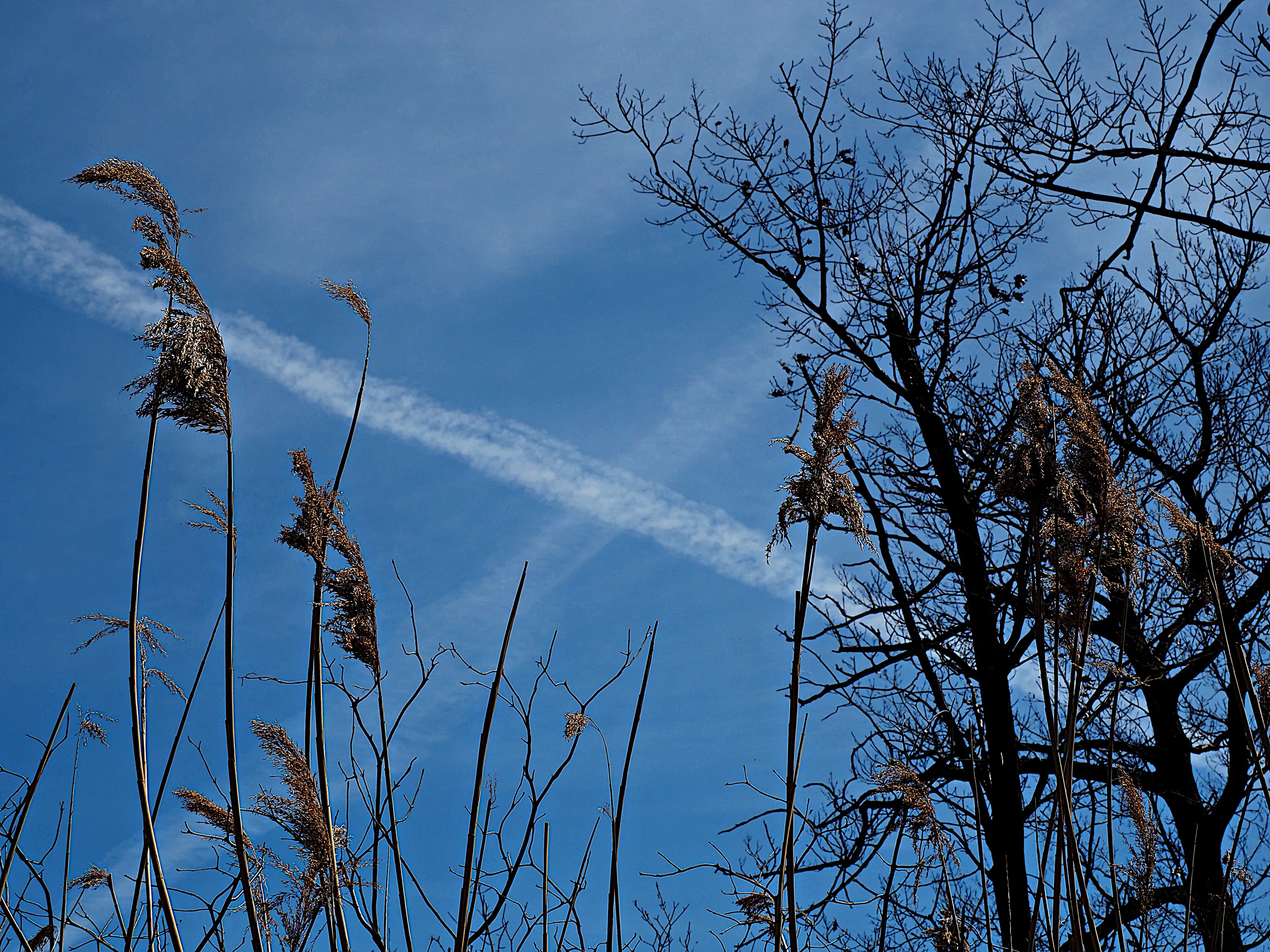 Look Upwards Into the Sky