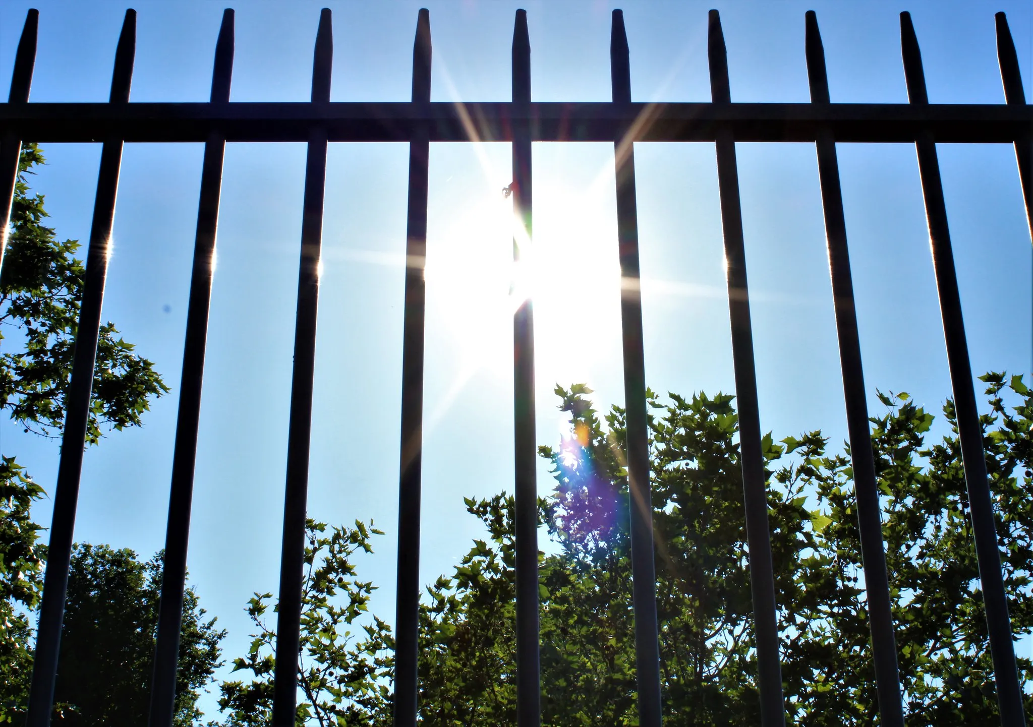 Imprisonment