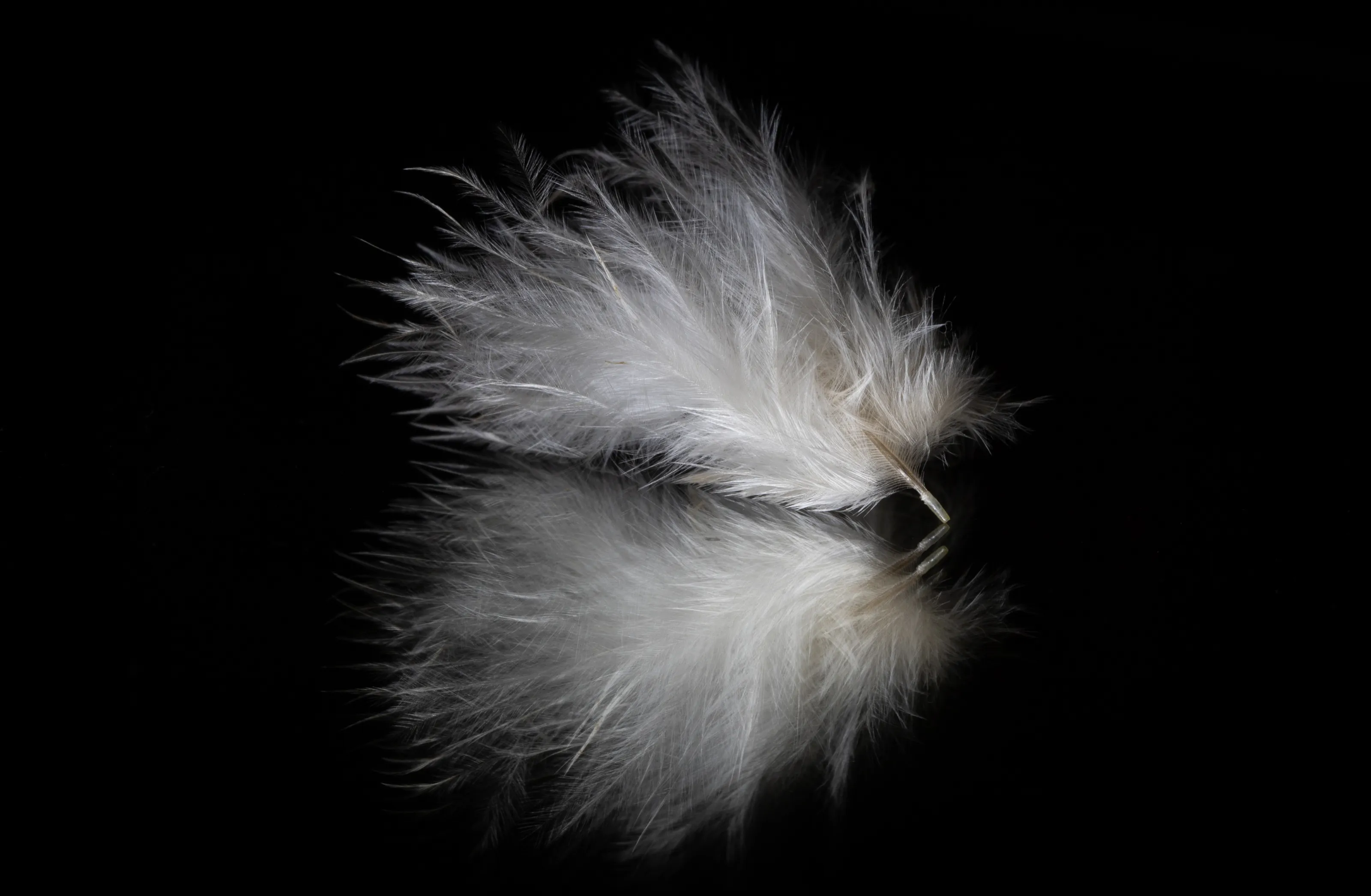 Lightness