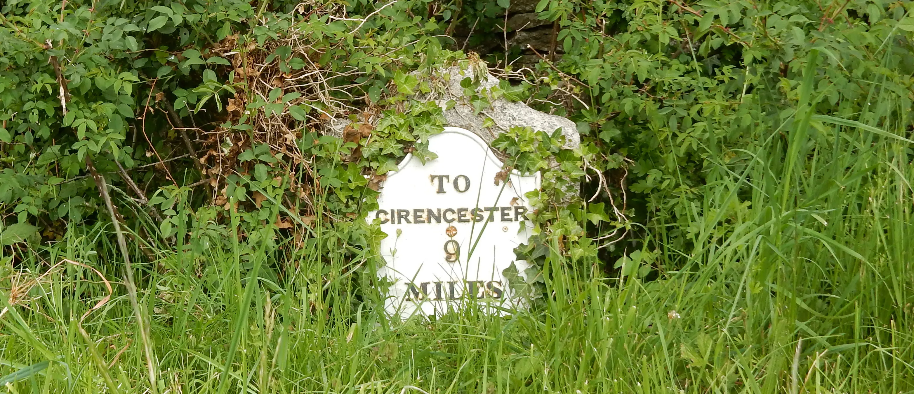 Milestones