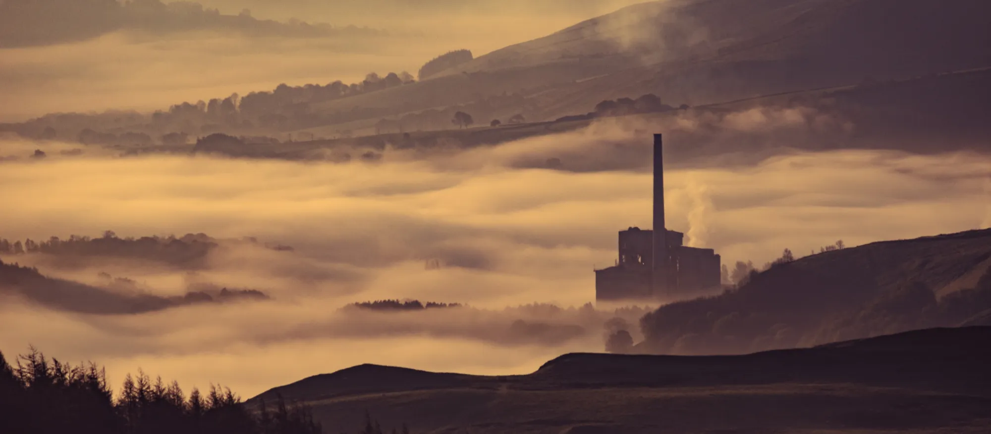 Industry