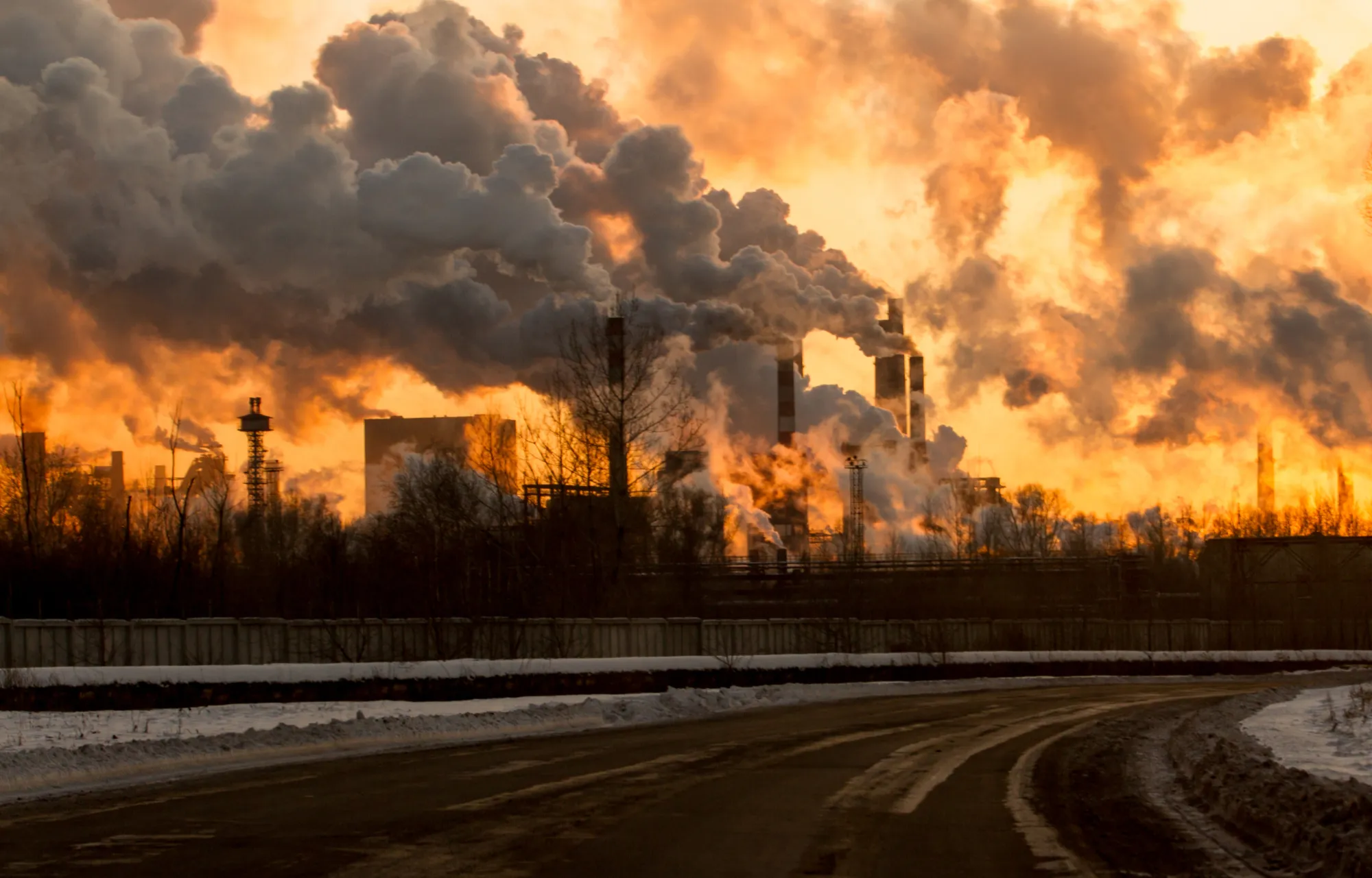Industry