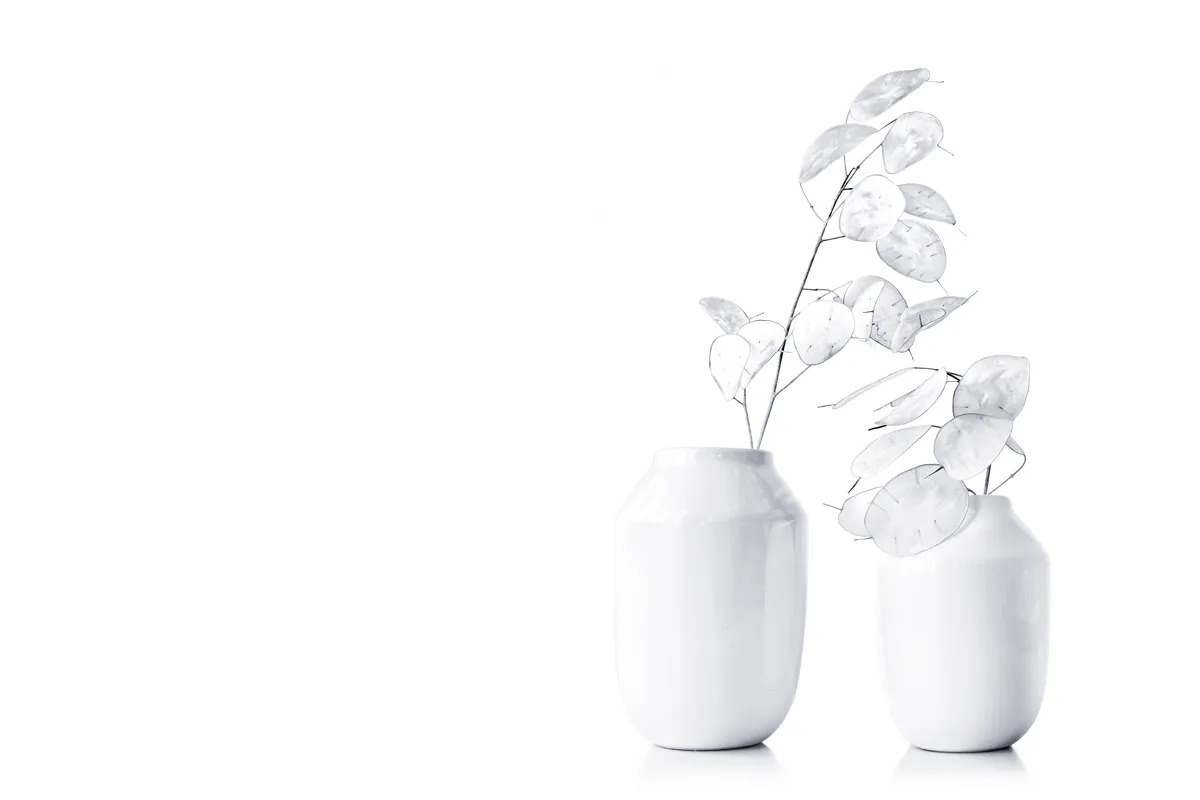 White Minimalism