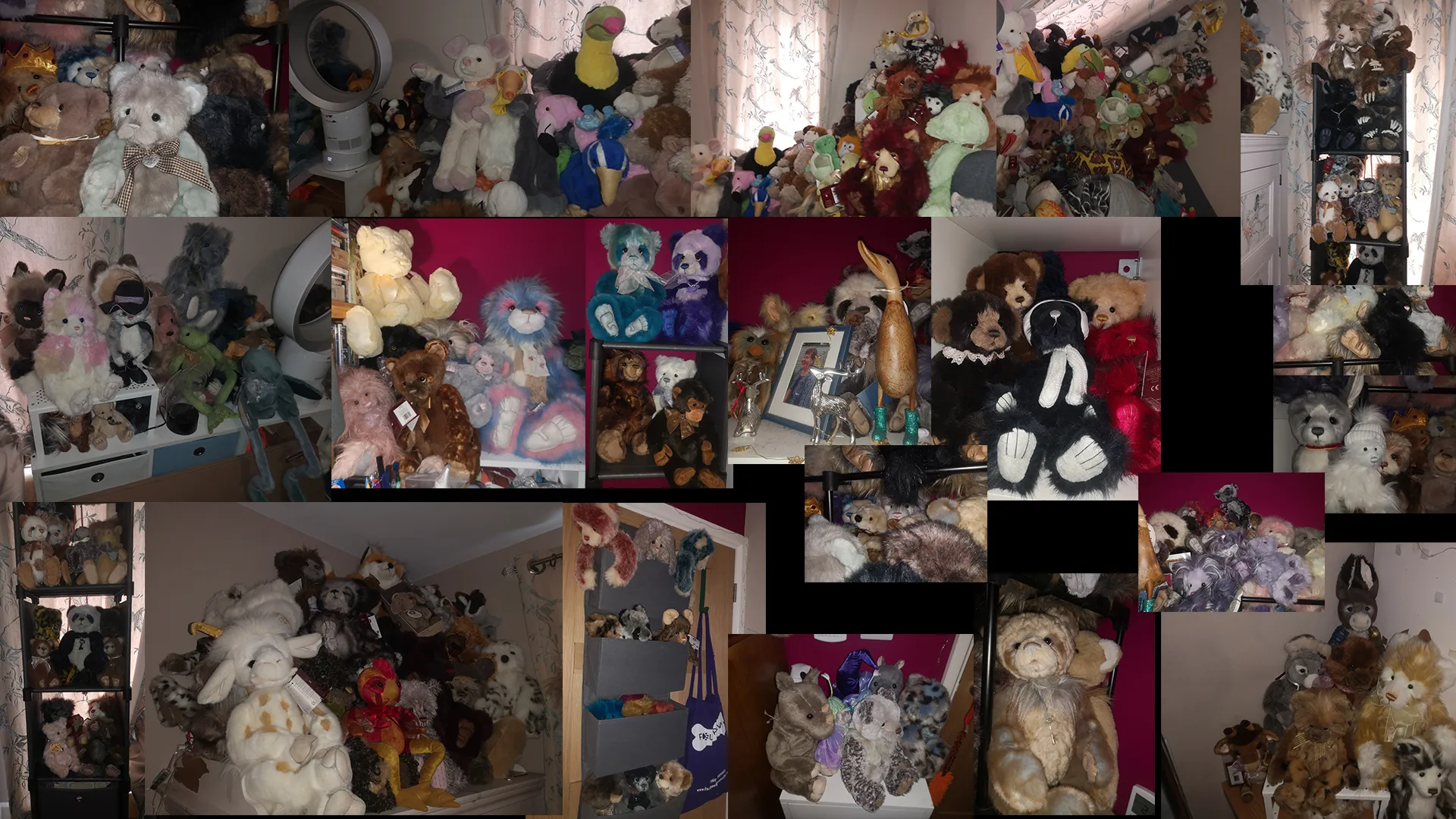 What a Collection