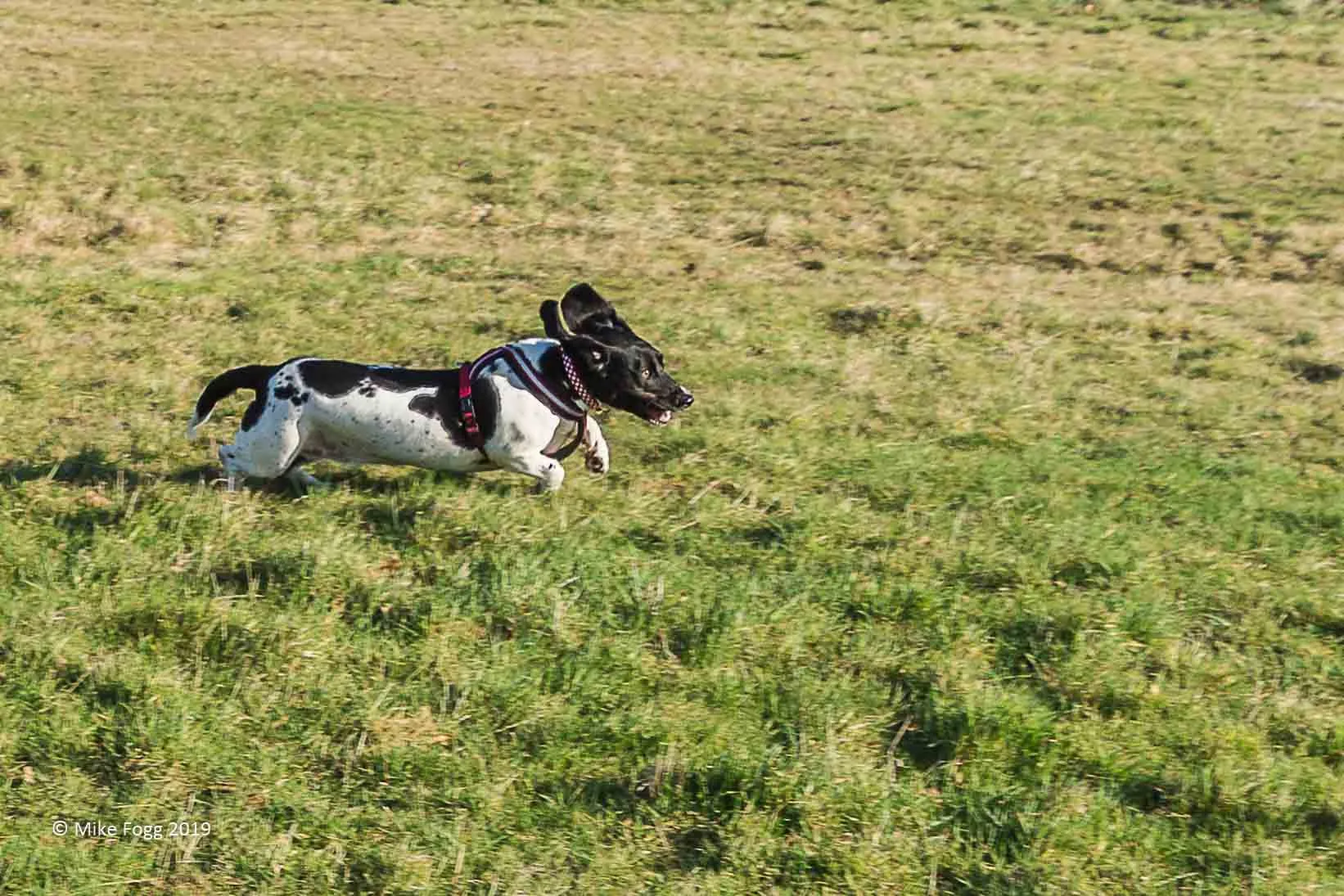 Racing Into The Picture