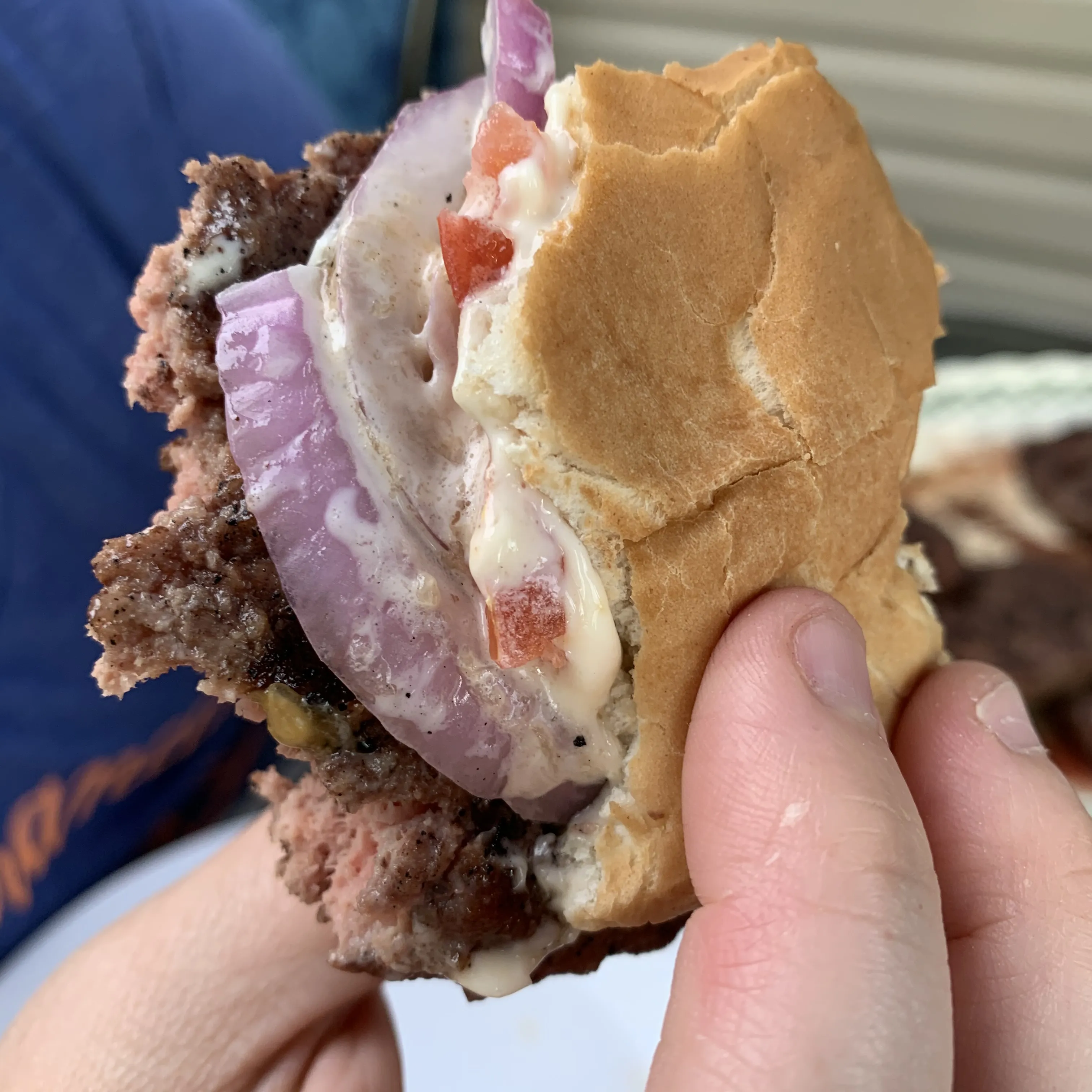 Food Being Eaten From The Hand