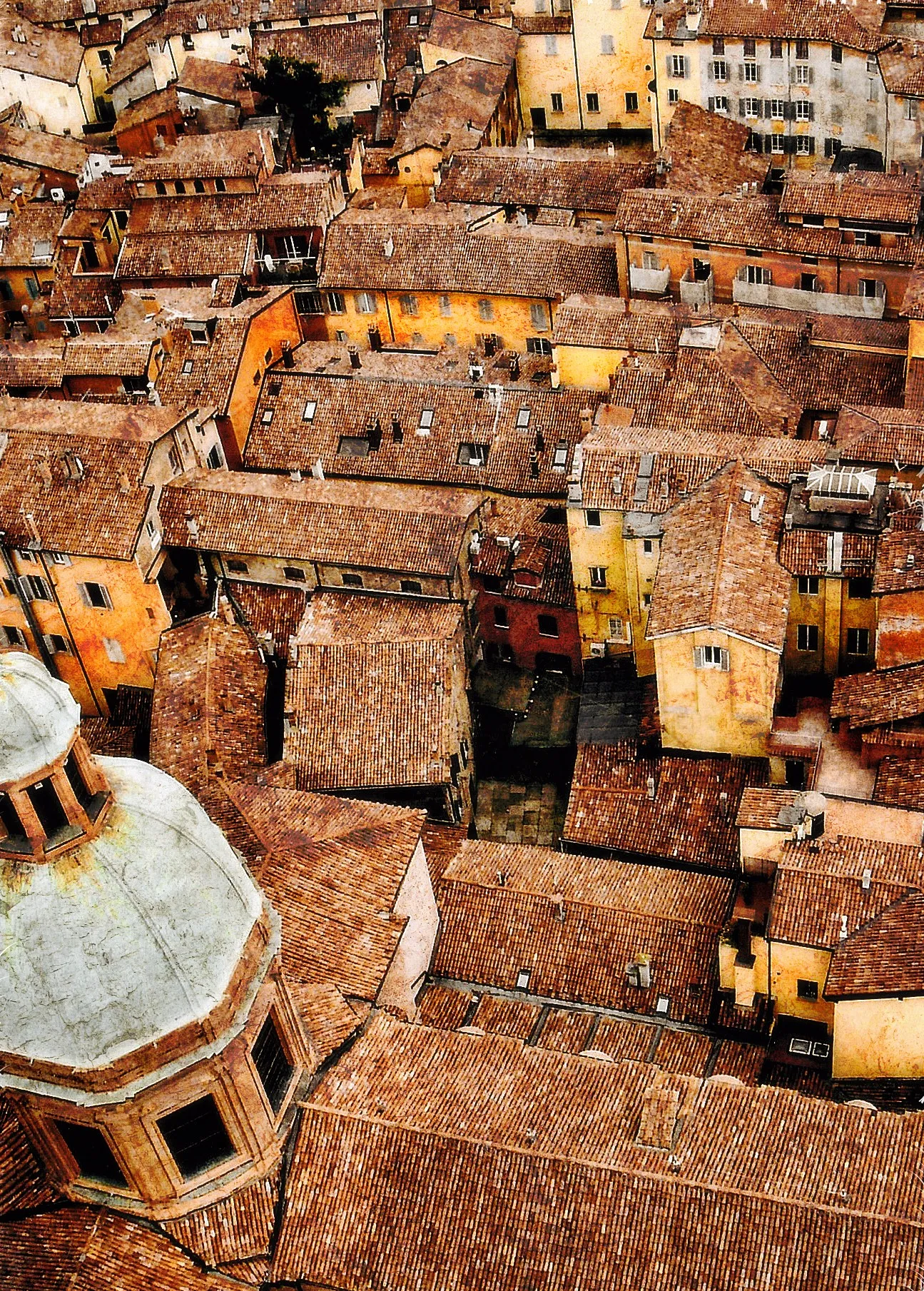 Roofs and Rooftops