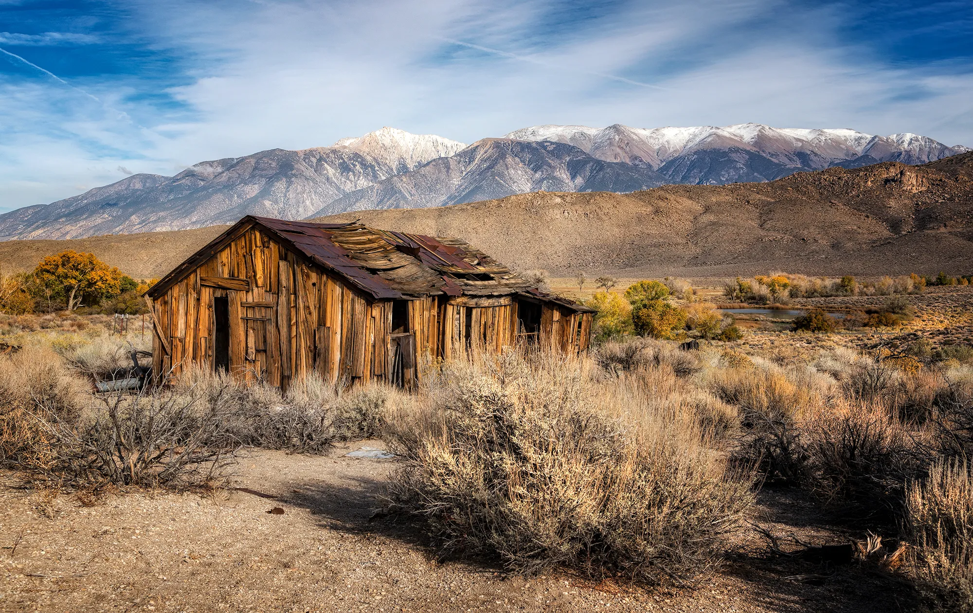 Barns